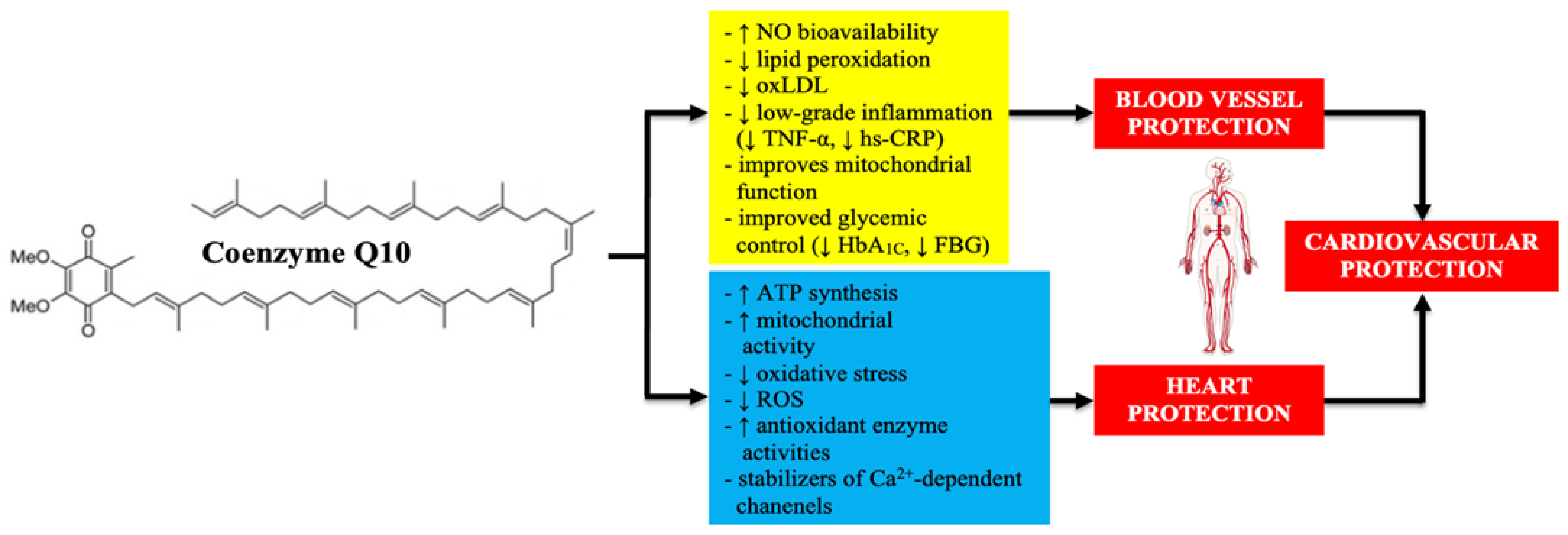 Jcdd 09 00161 g007 Jcdd 09 00161 g007