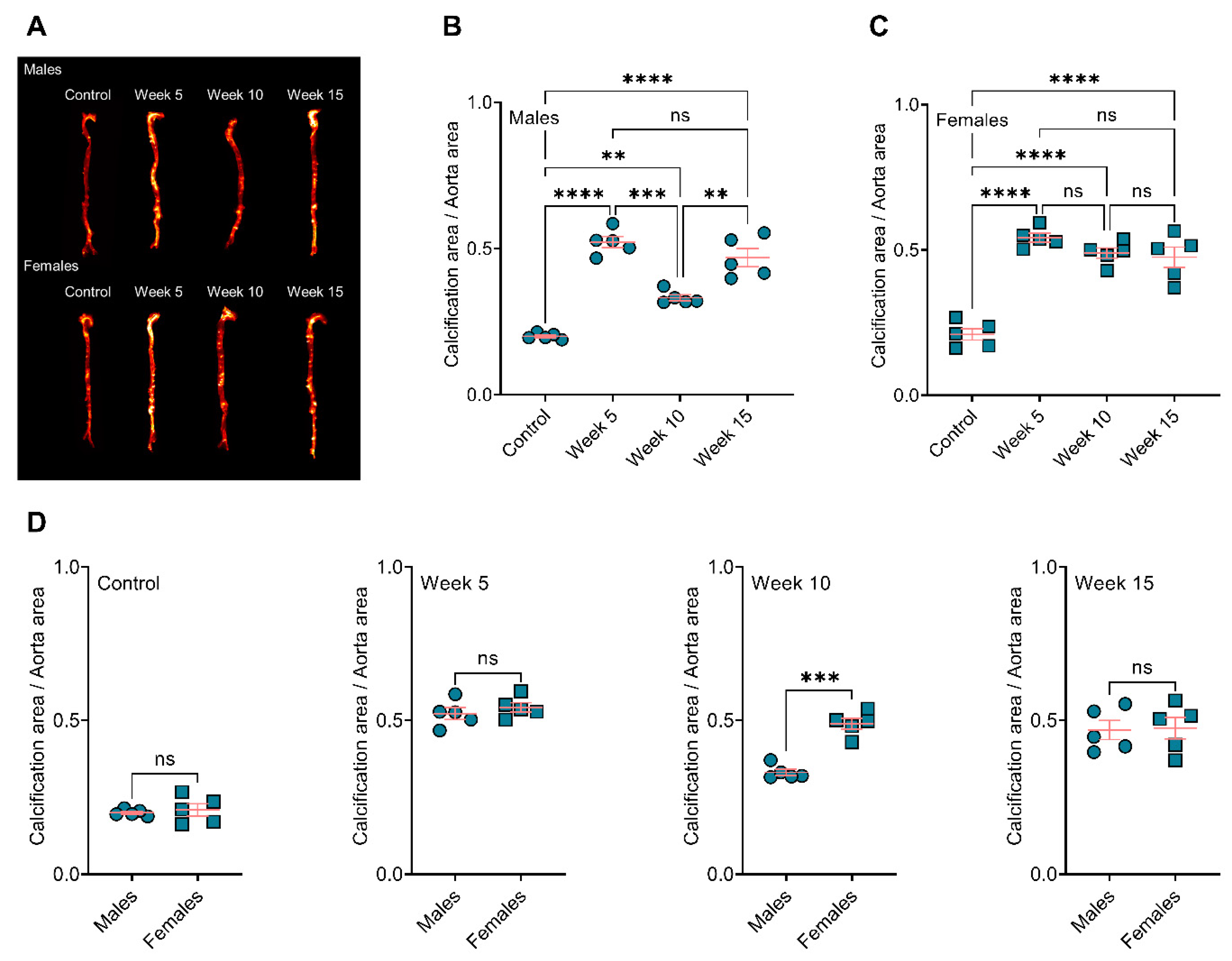 Jcdd 09 00168 g001 Jcdd 09 00168 g001