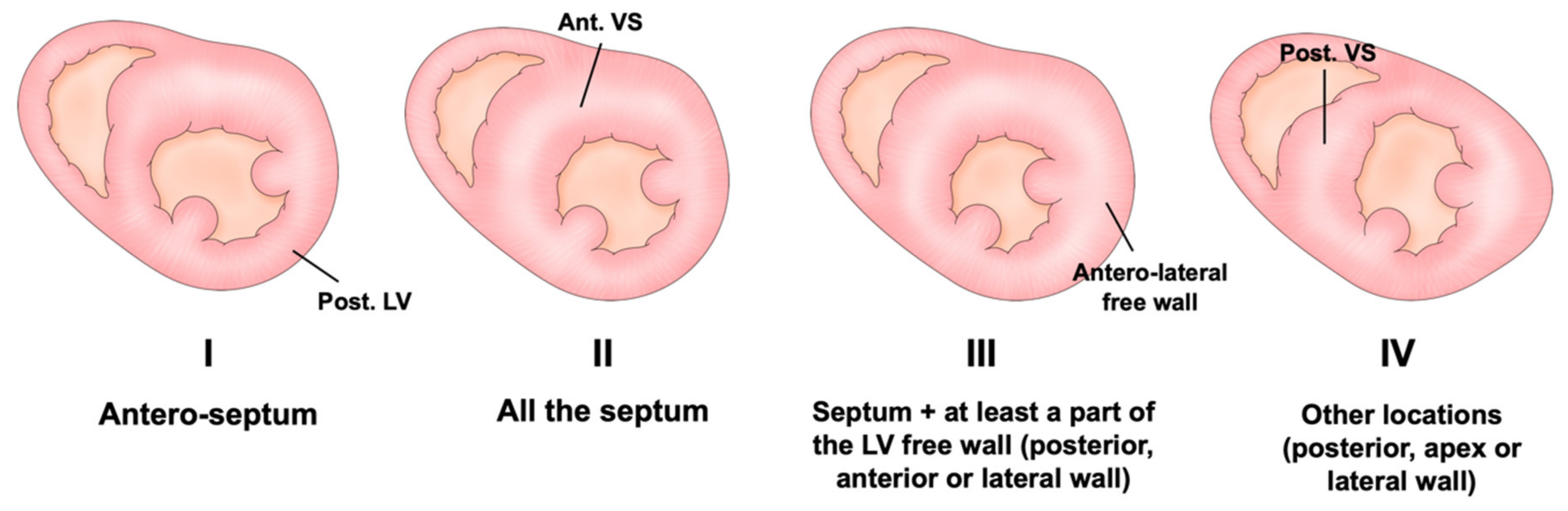 Jcdd 09 00169 g001 Jcdd 09 00169 g001