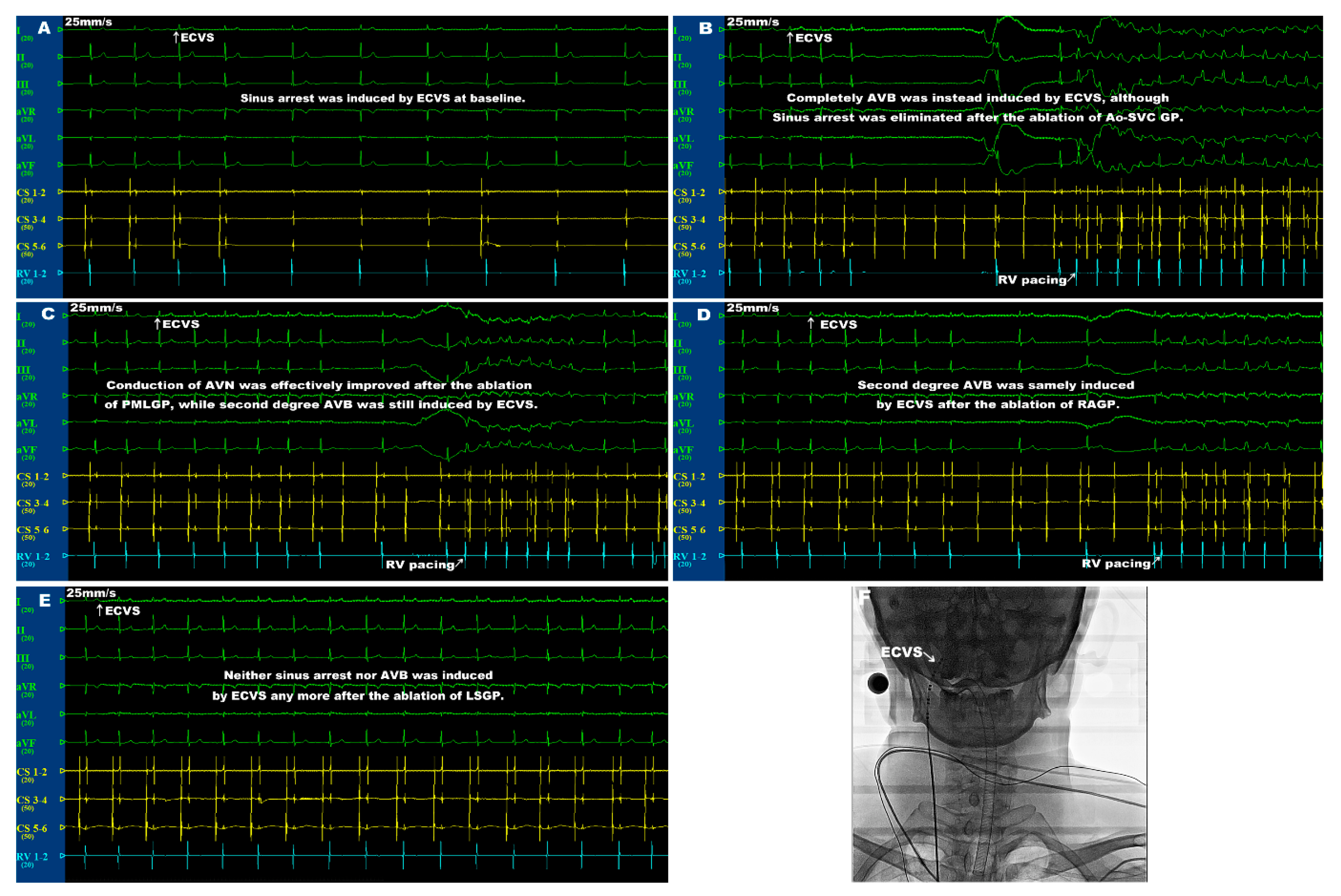 Jcdd 09 00188 g002 550