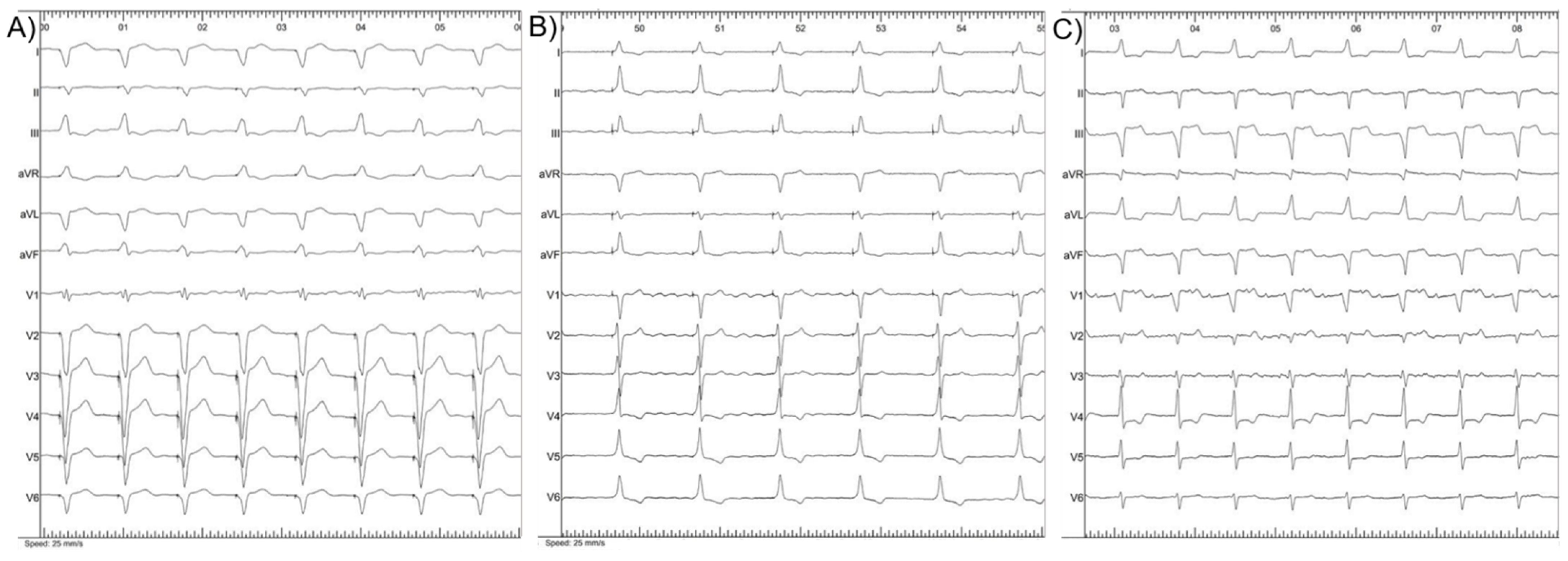 Jcdd 09 00209 g002 550
