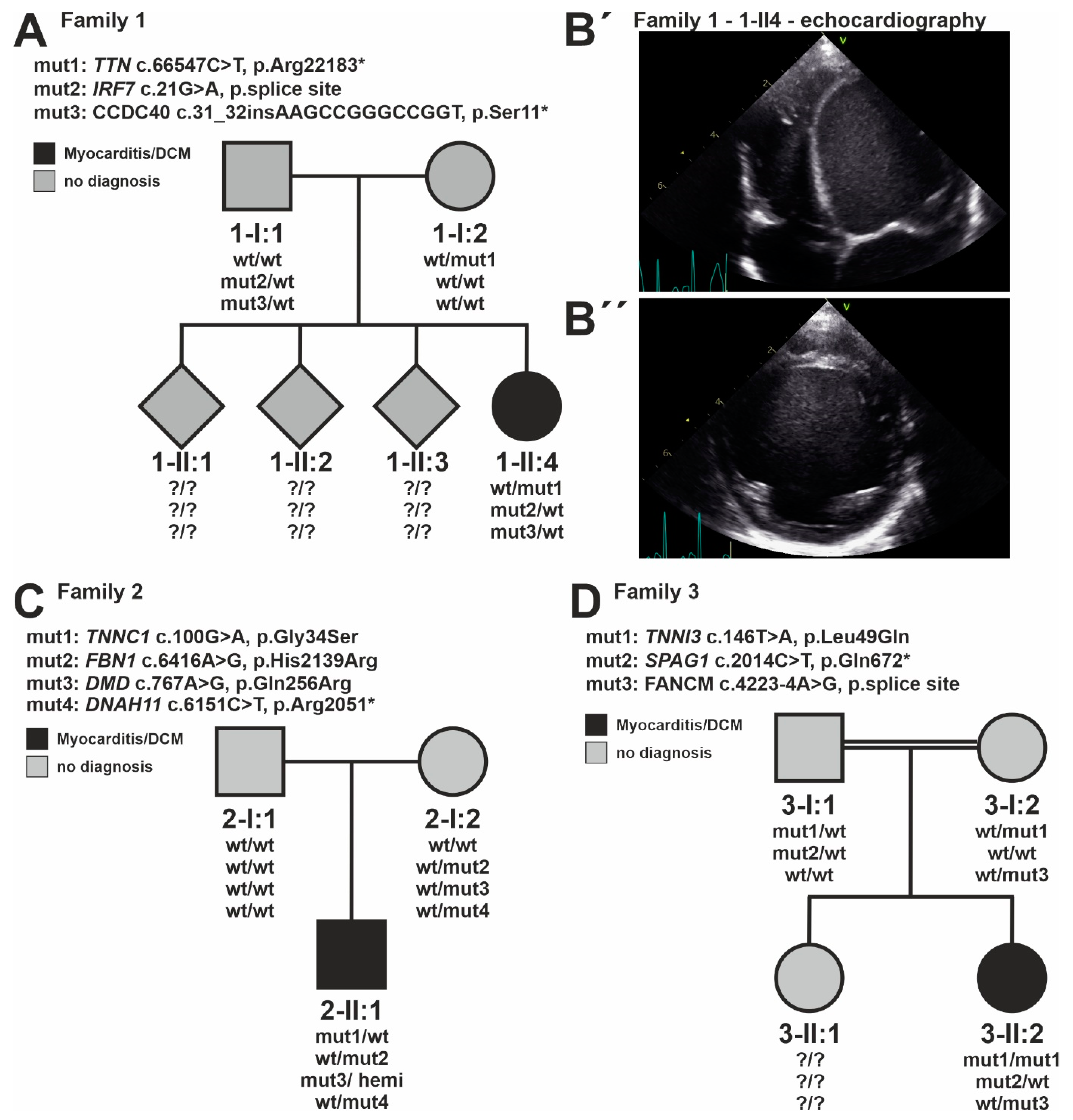 Jcdd 09 00216 g002 550