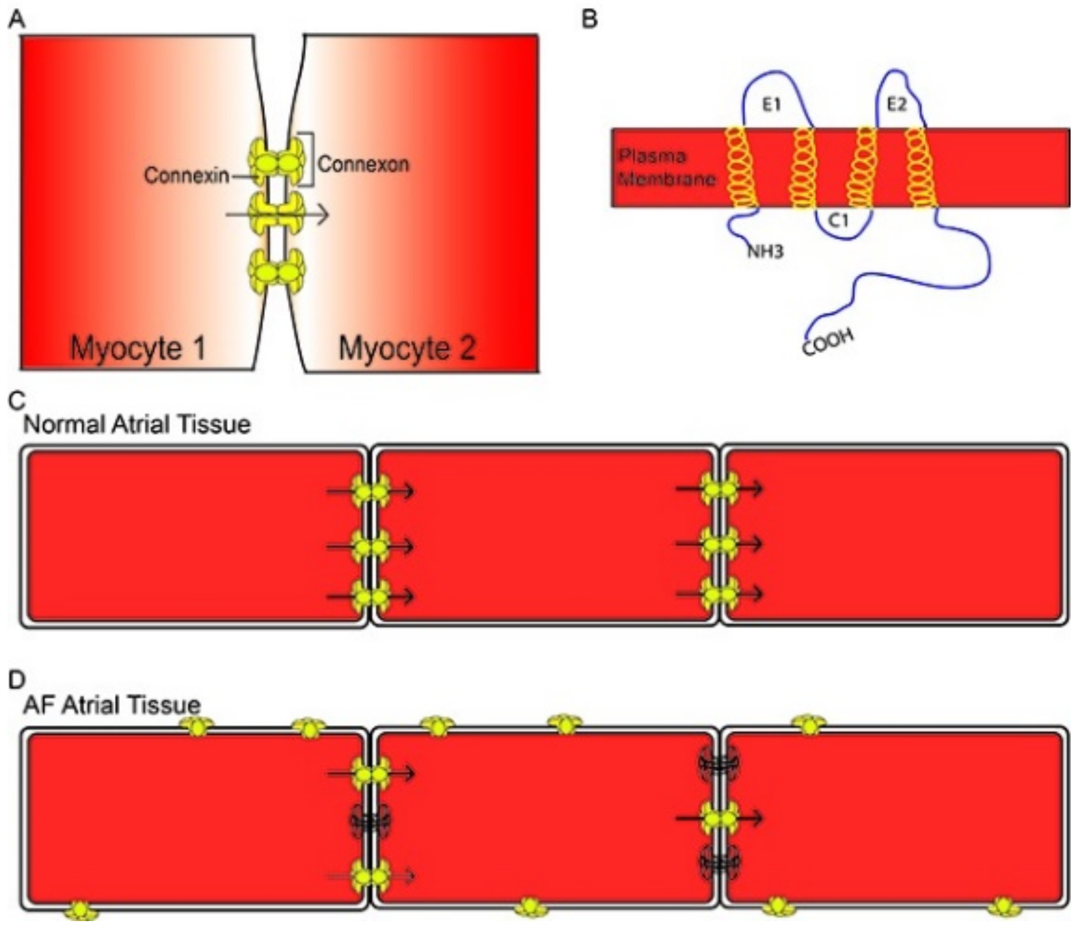 Jcdd 09 00217 g005 Jcdd 09 00217 g005