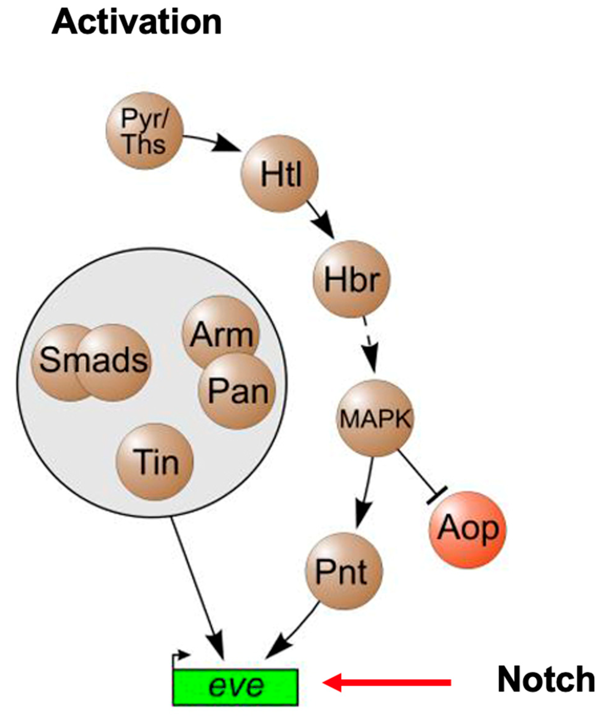 Jcdd 09 00219 g006 550