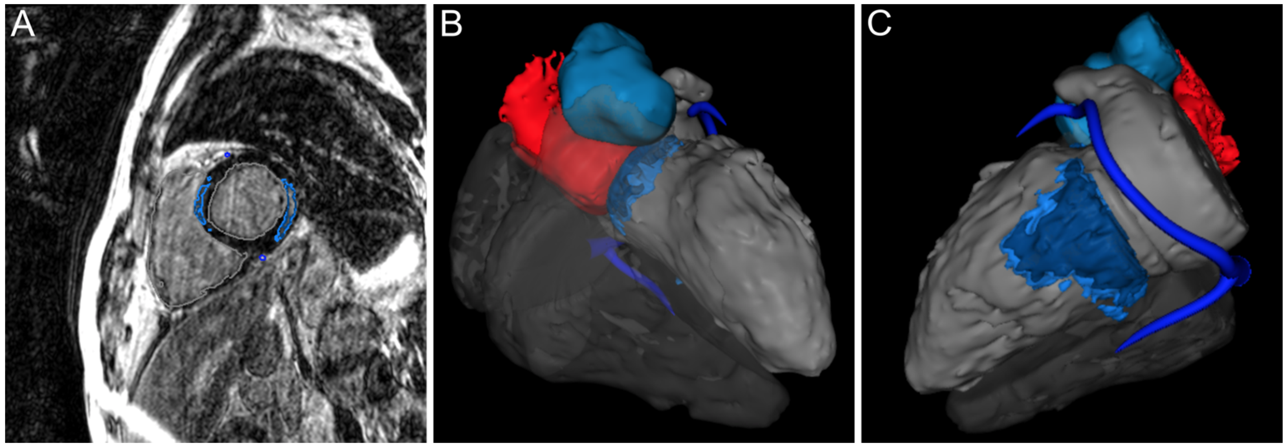 Jcdd 09 00243 g005 550
