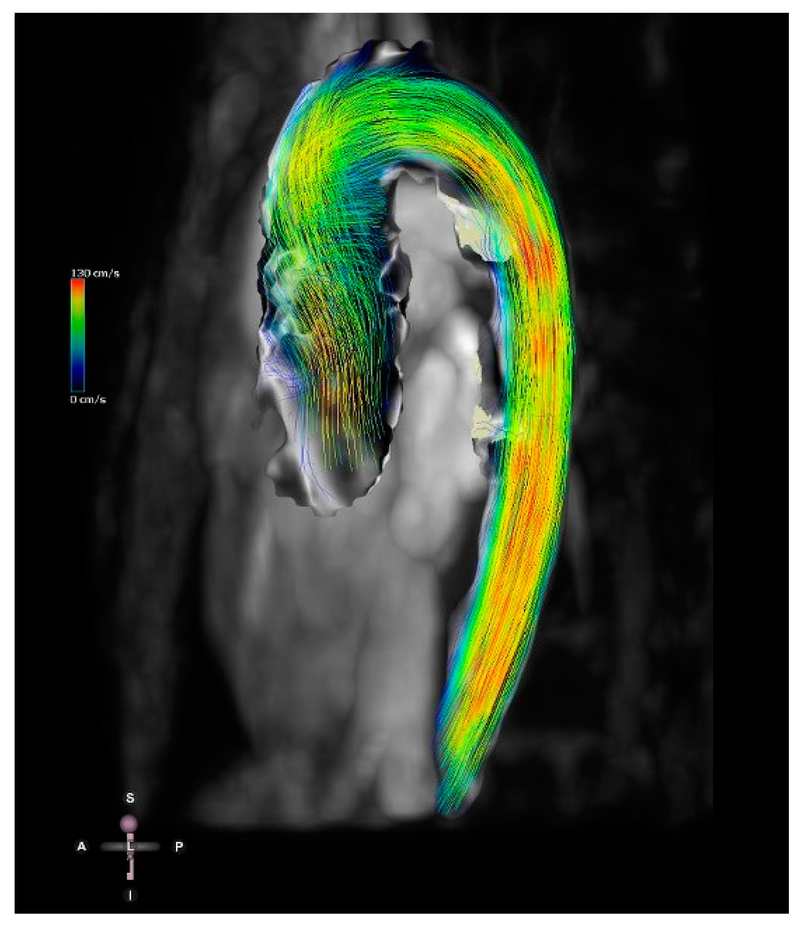 Jcdd 09 00269 g009 Jcdd 09 00269 g009