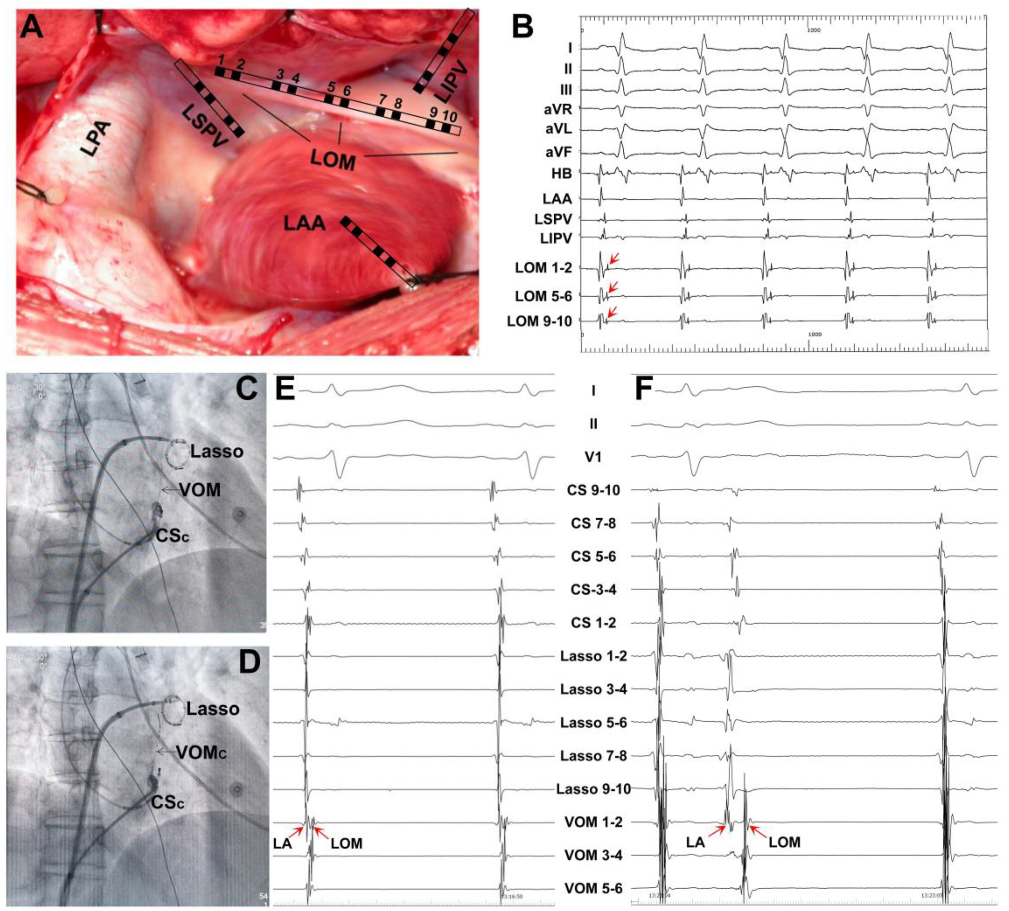 Jcdd 09 00270 g002 550