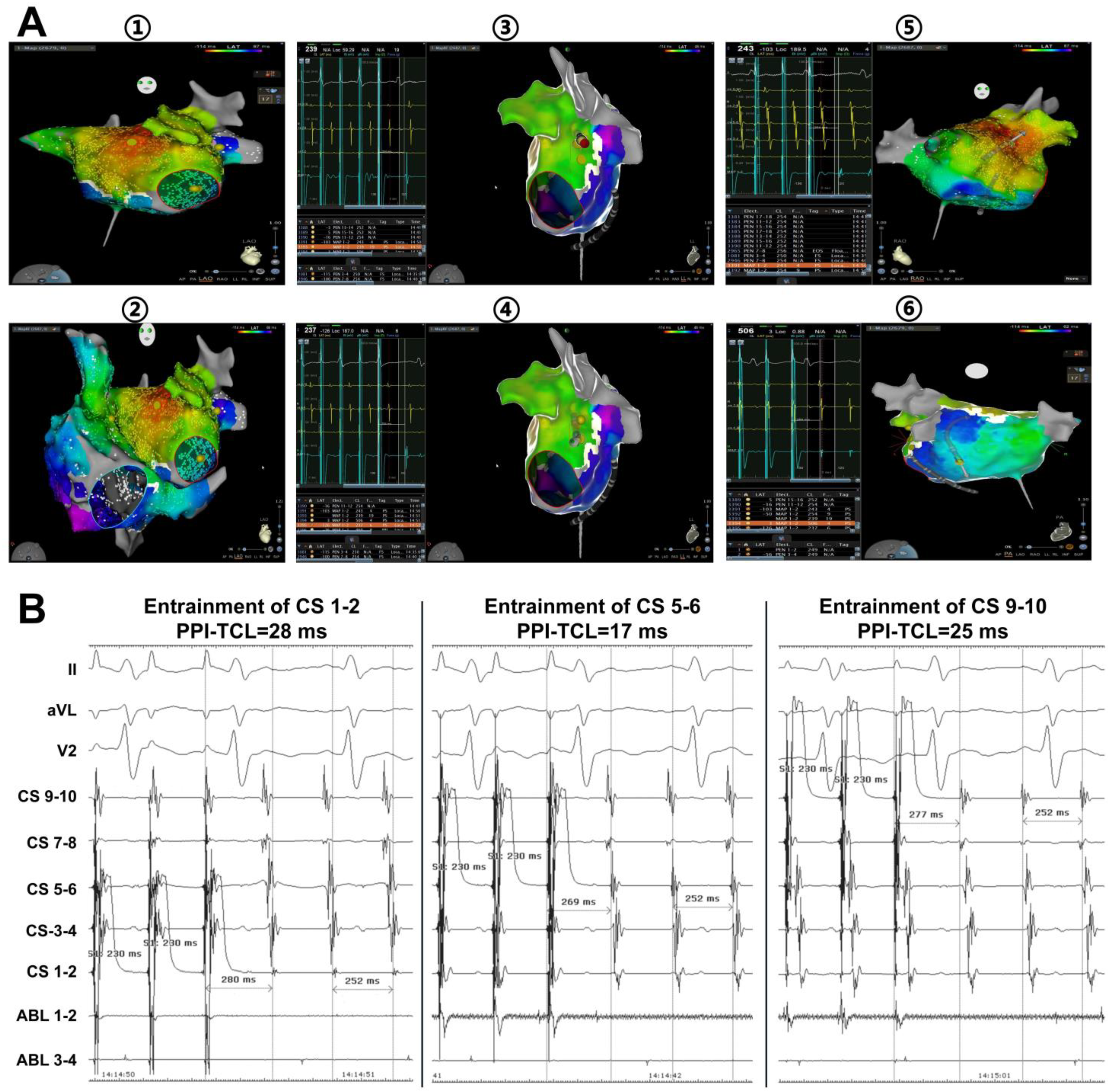 Jcdd 09 00270 g003a 550