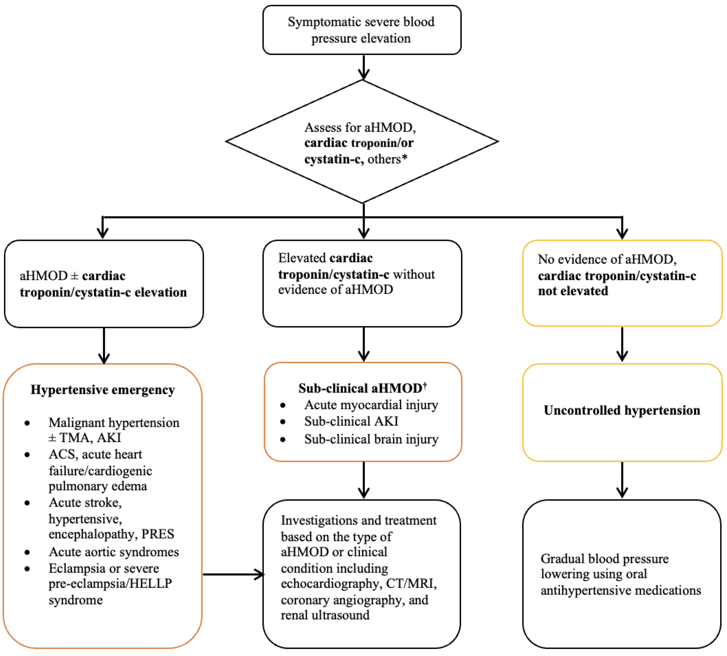 Htn Guidelines 2025 Caty Maudie