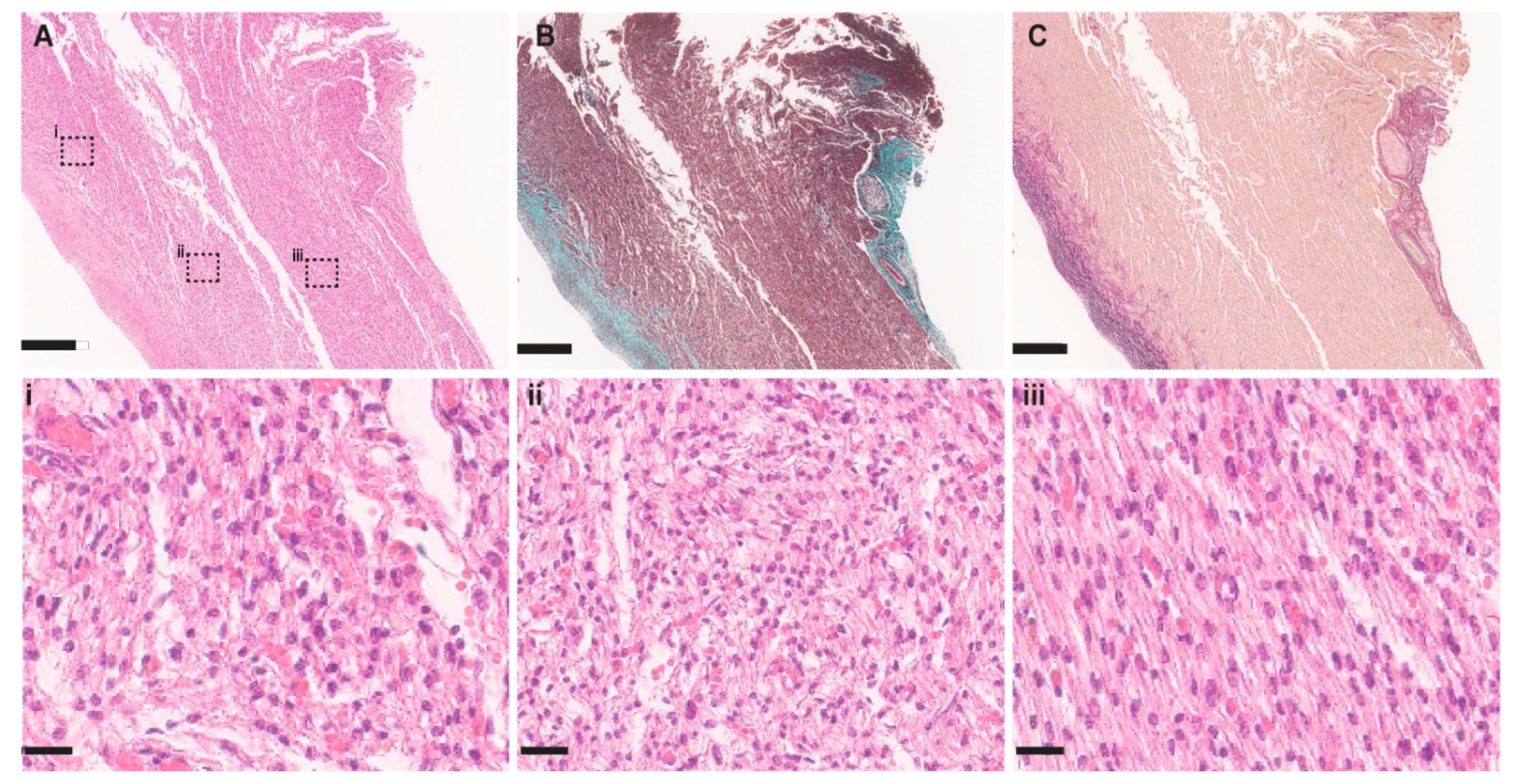 Jcdd 09 00279 g002 Jcdd 09 00279 g002