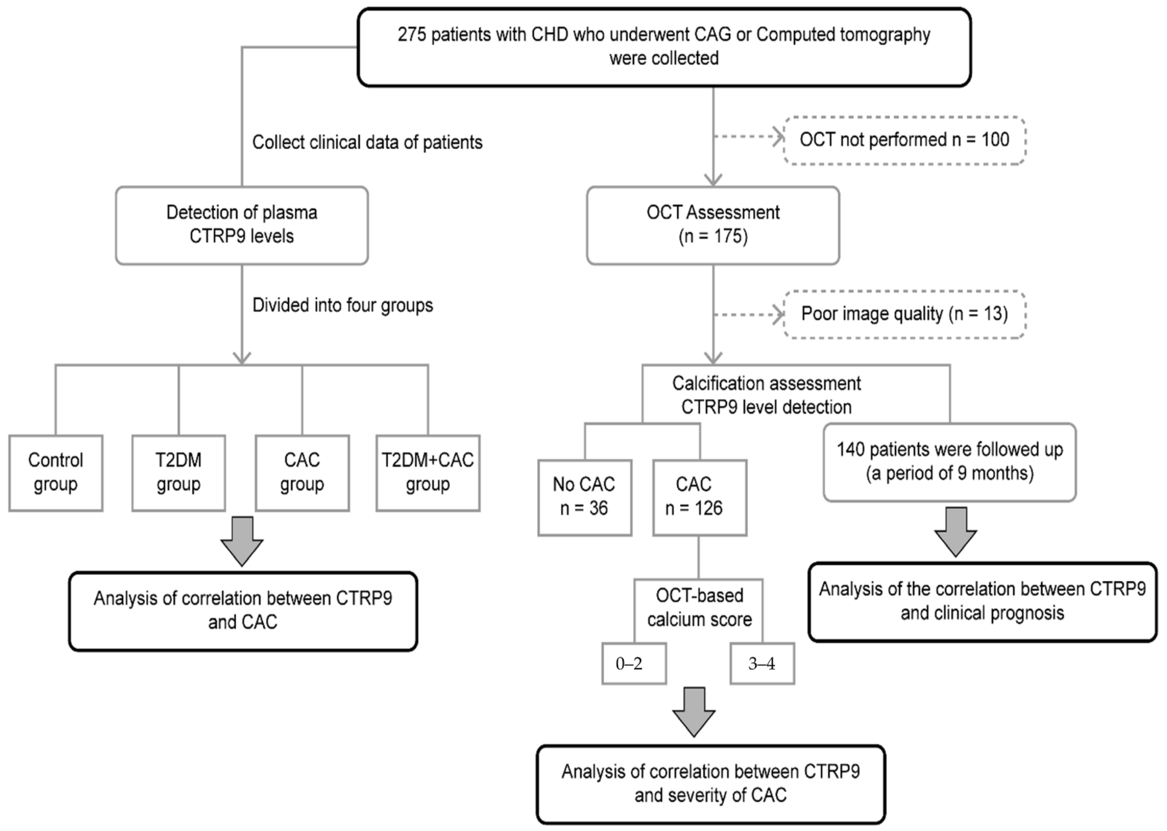 Jcdd 09 00313 g001 Jcdd 09 00313 g001