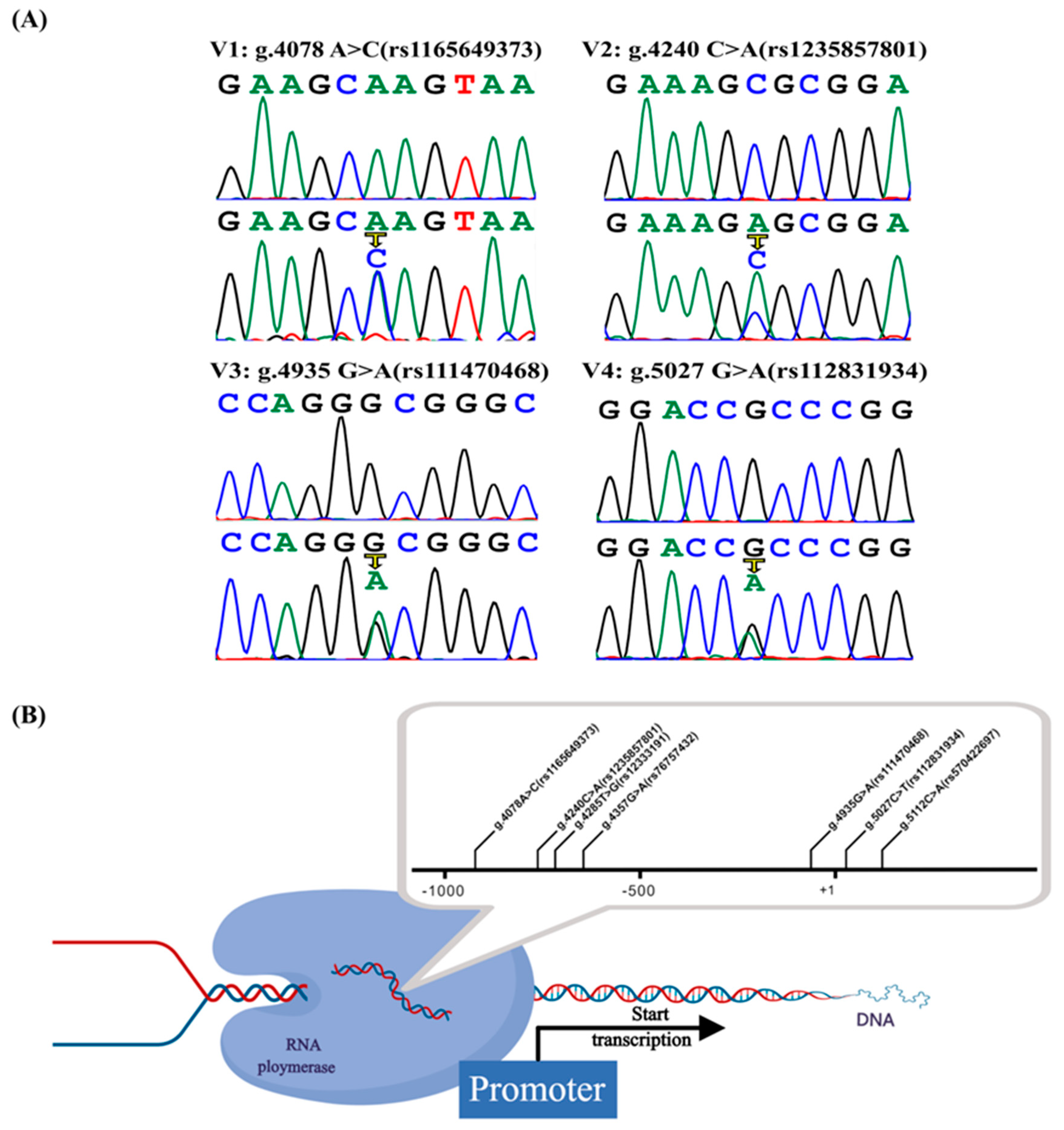 Jcdd 09 00321 g002 Jcdd 09 00321 g002