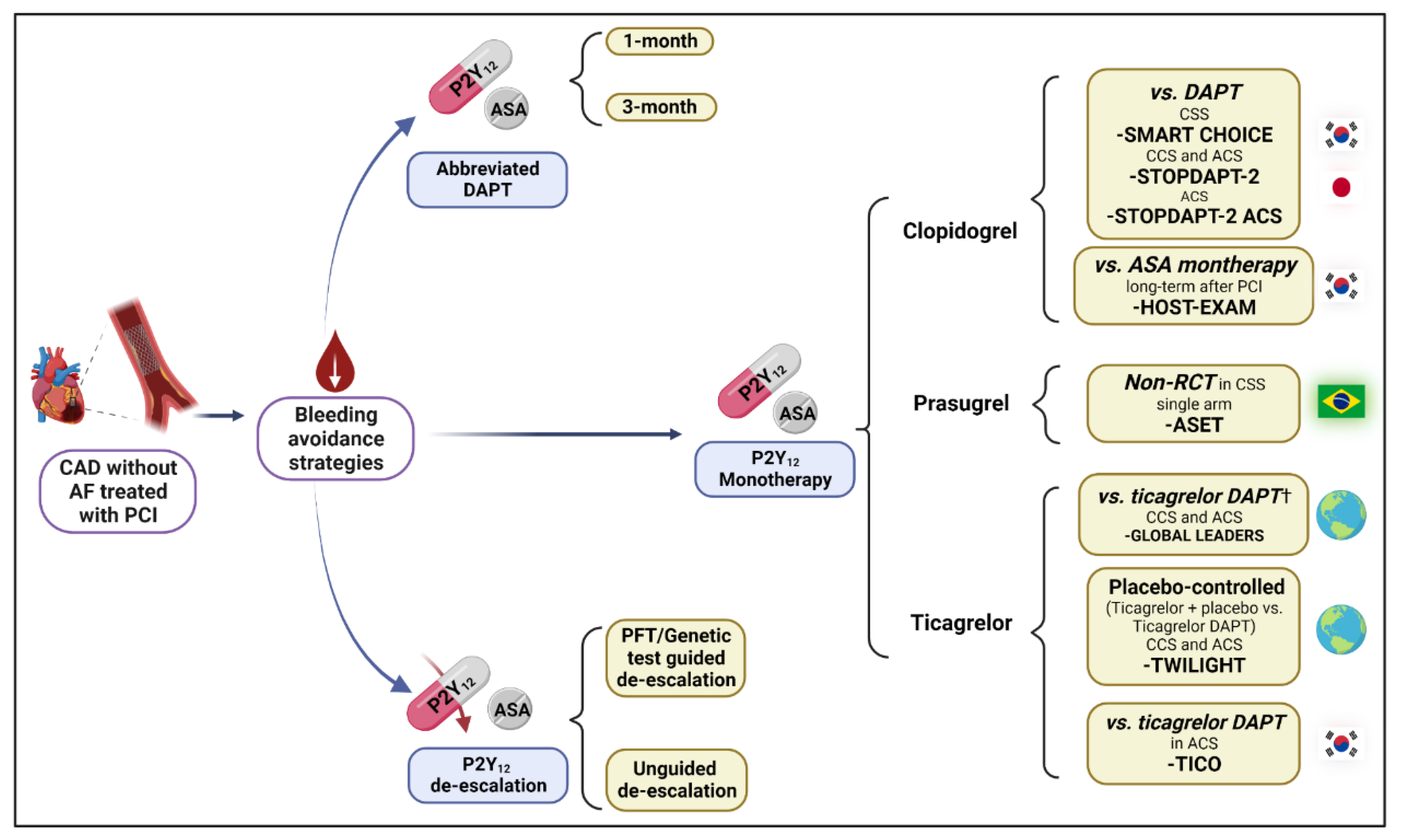 JCDD Free FullText P2Y12 Inhibitor Monotherapy after Percutaneous