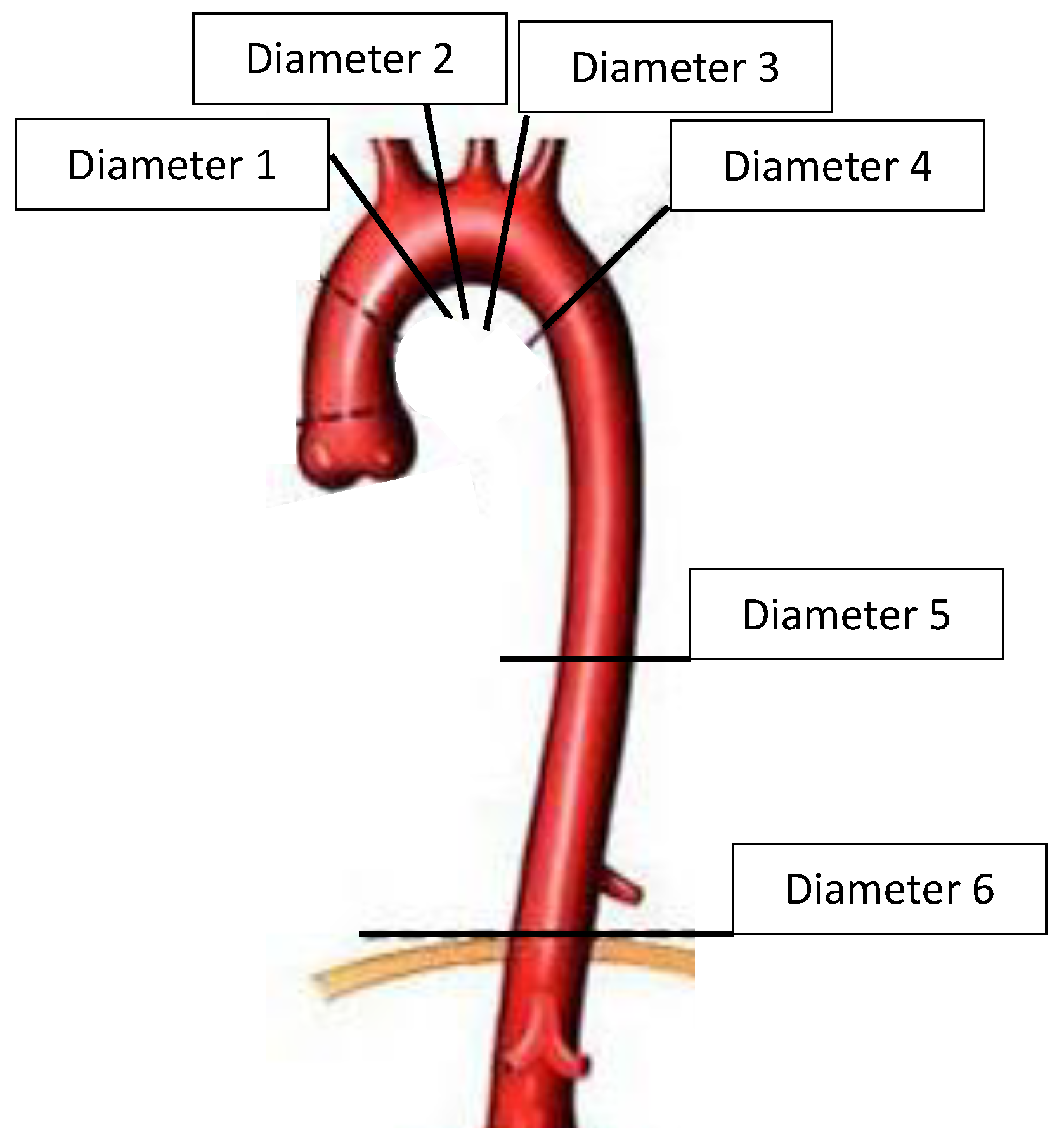 Jcdd 09 00349 g001 Jcdd 09 00349 g001
