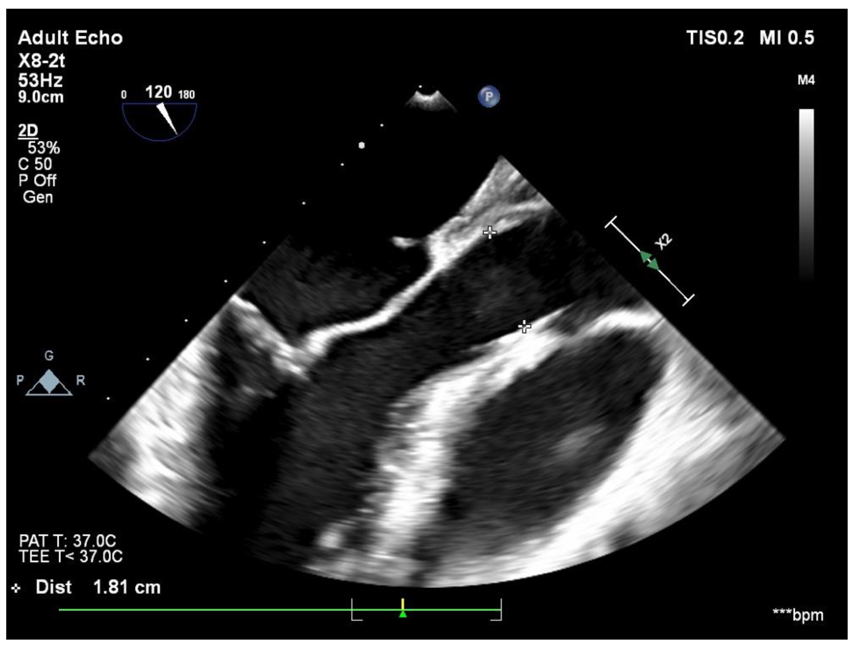 Jcdd 09 00352 g001 Jcdd 09 00352 g001