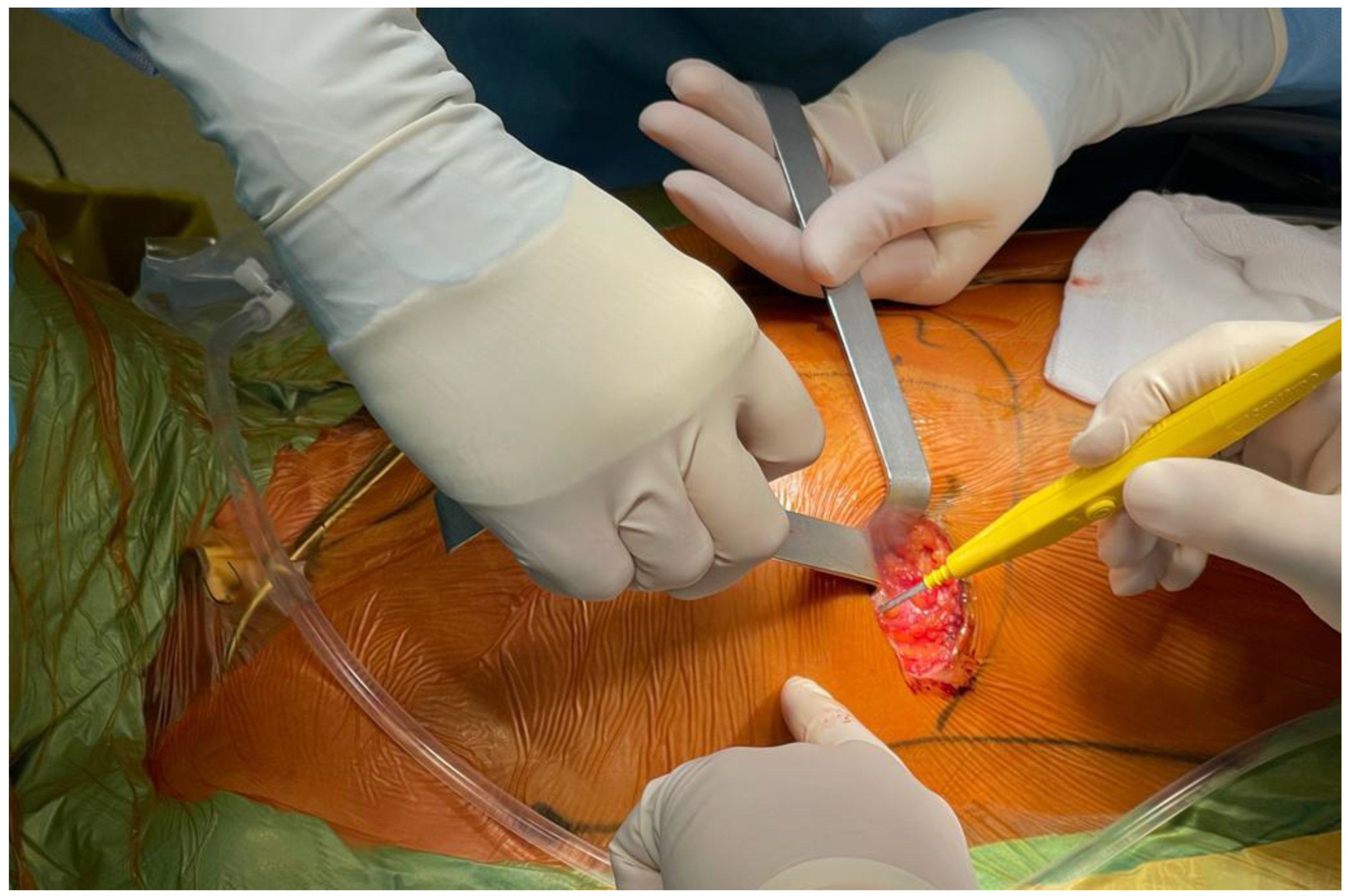 Jcdd 09 00352 g002 Jcdd 09 00352 g002