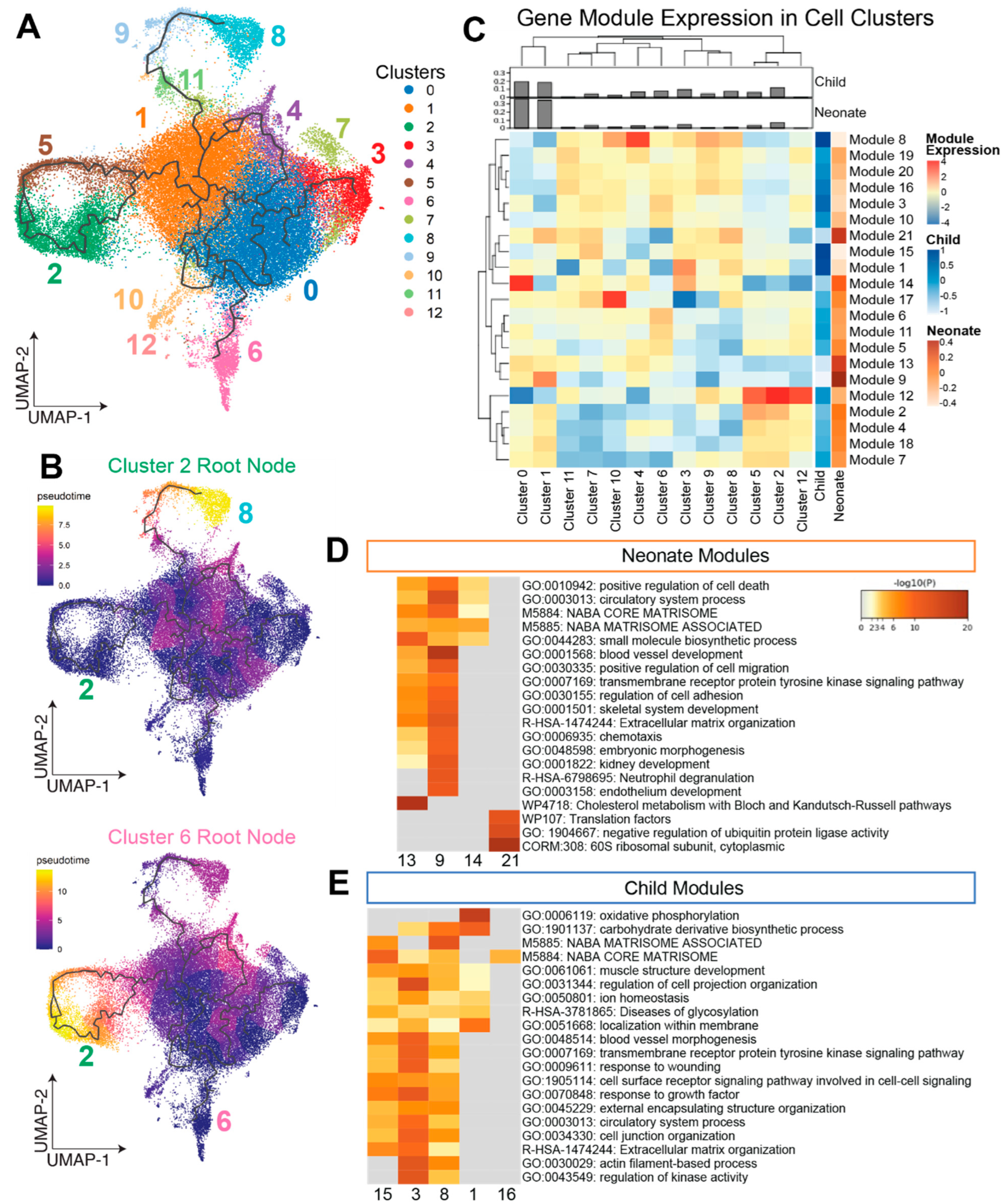 Jcdd 09 00374 g002 Jcdd 09 00374 g002