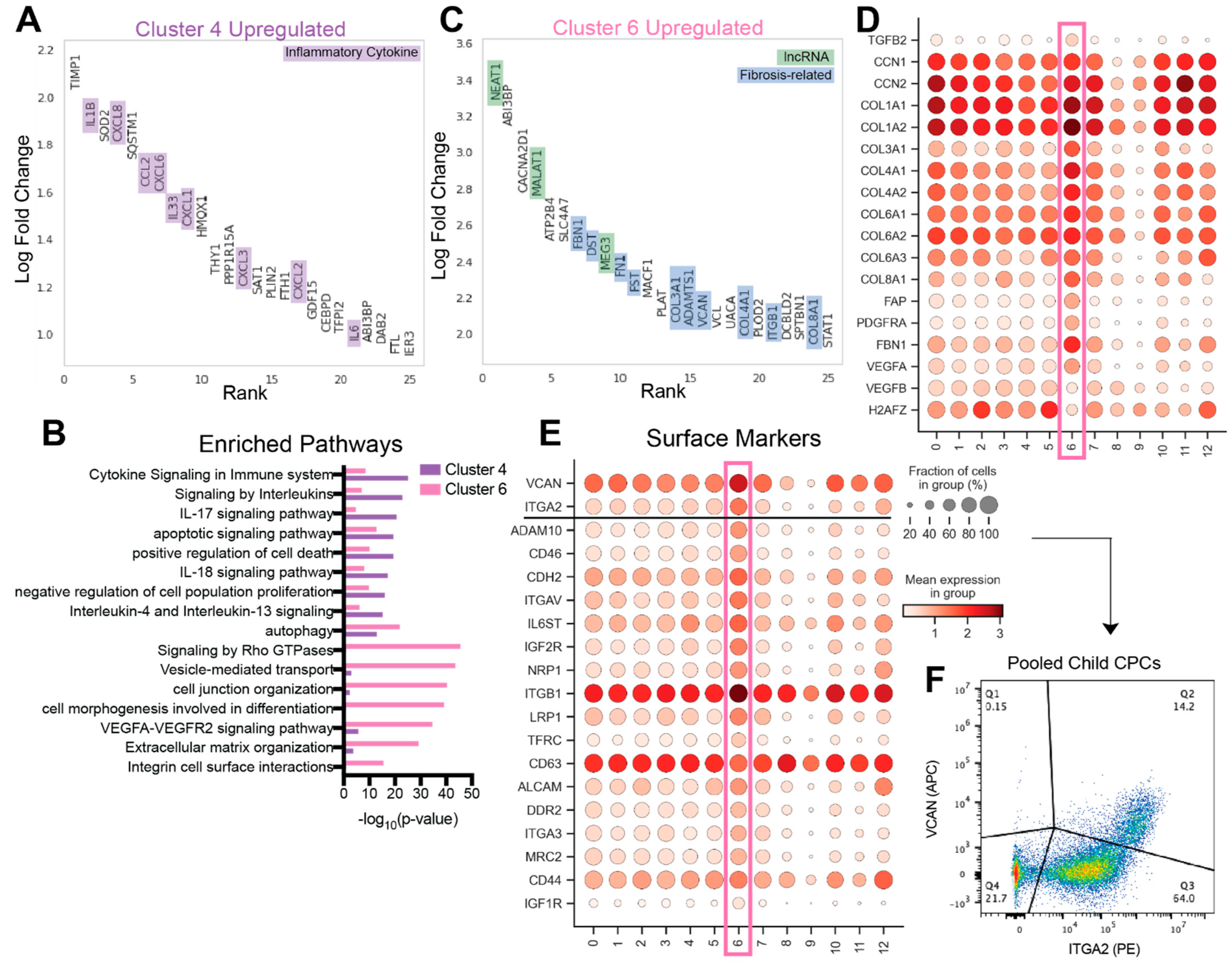 Jcdd 09 00374 g003 Jcdd 09 00374 g003