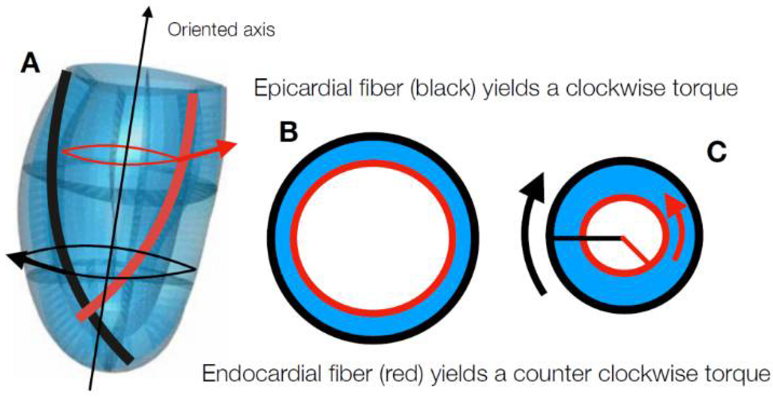 JCDD | Free Full-Text | Geometry Does Impact on the Plane Strain