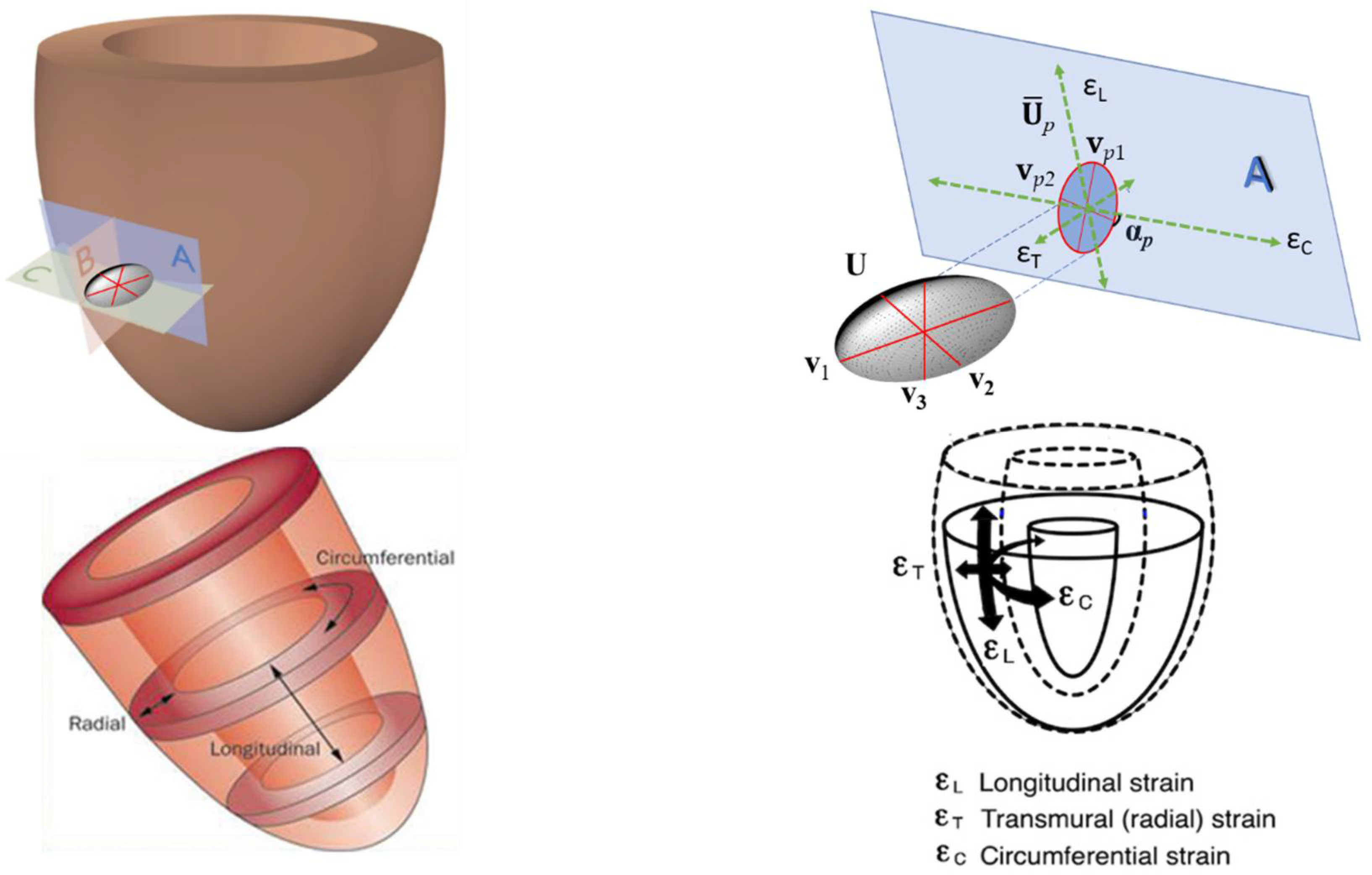 Jcdd 09 00393 g003 Jcdd 09 00393 g003