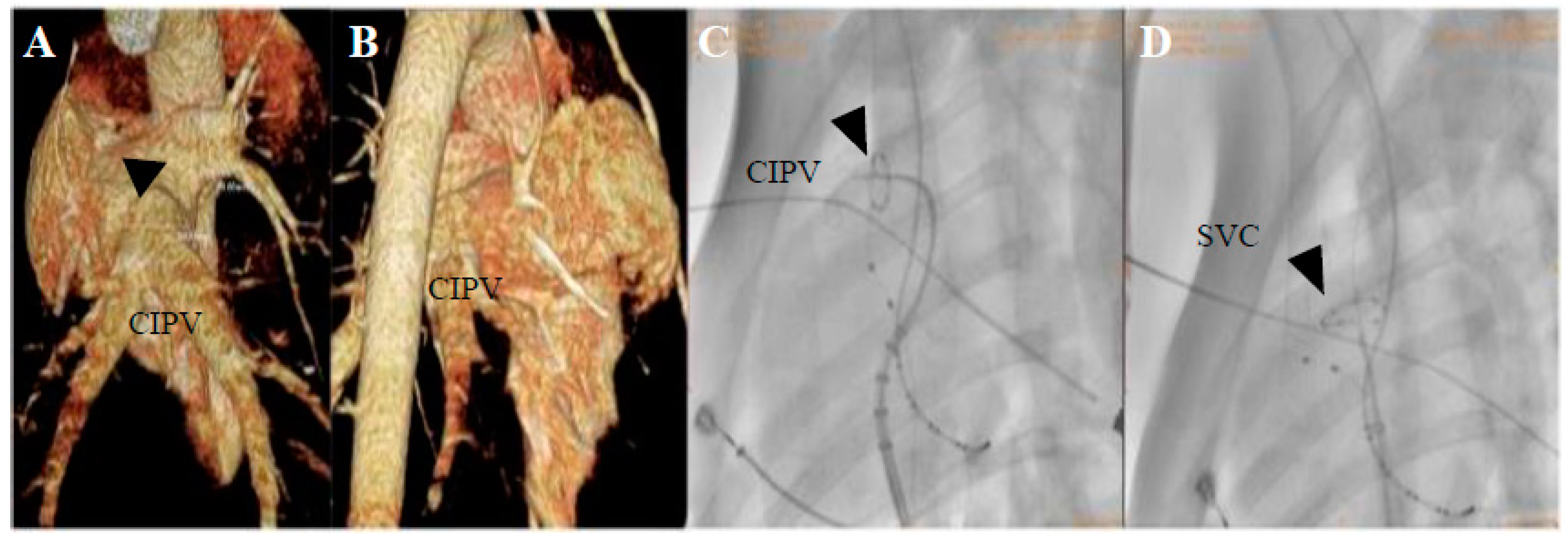 Jcdd 09 00425 g002 Jcdd 09 00425 g002