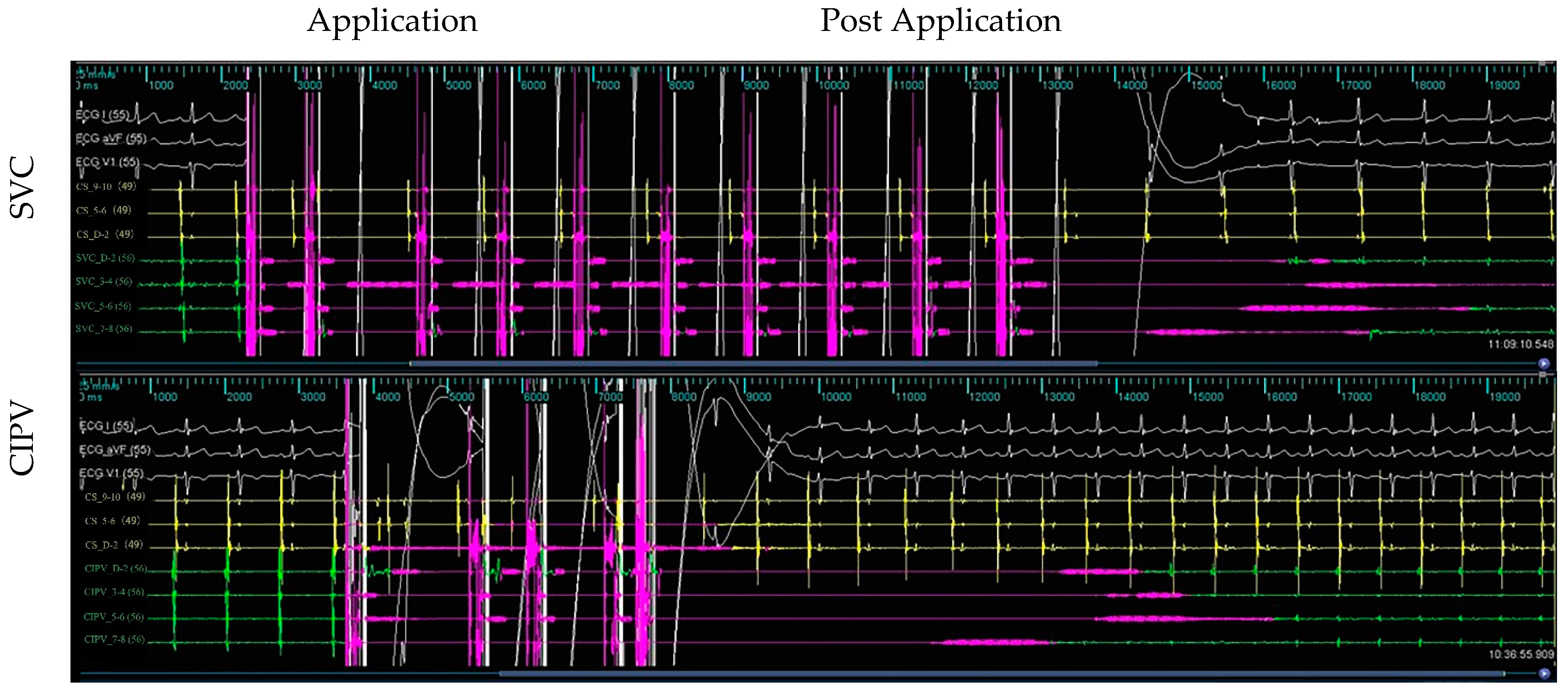 Jcdd 09 00425 g003 Jcdd 09 00425 g003