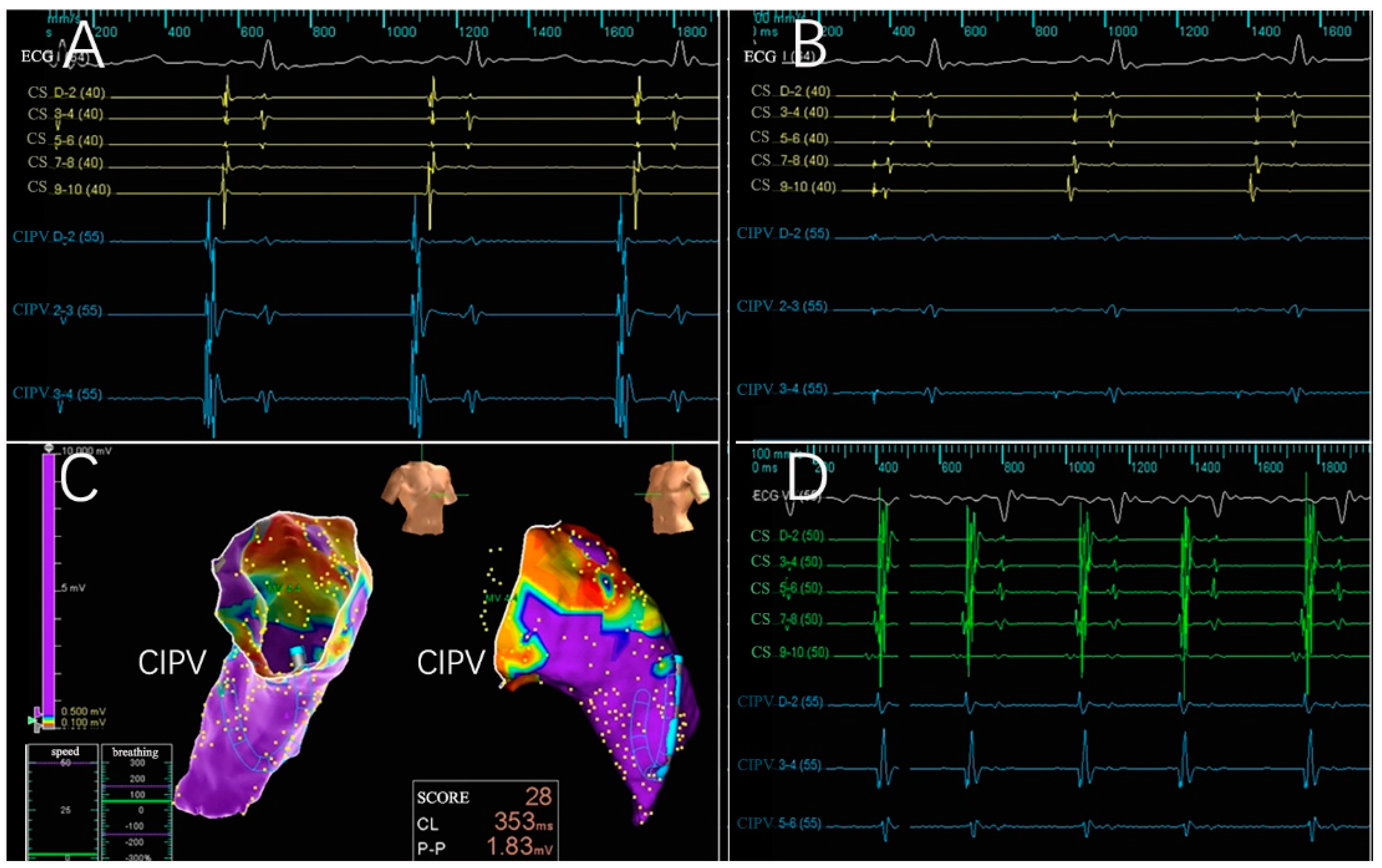 Jcdd 09 00425 g004 Jcdd 09 00425 g004