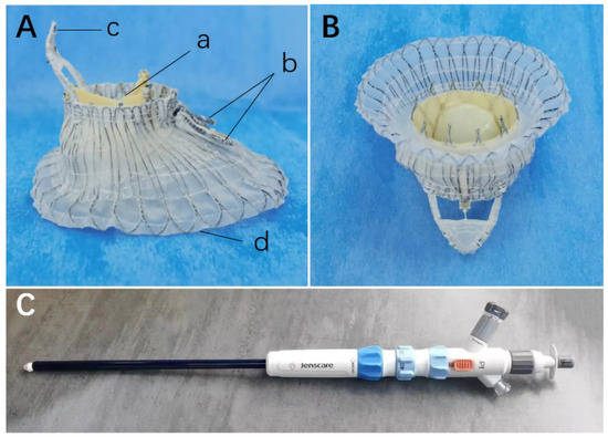割引クーポン Follow-Up 4-Year after Tricuspid Transcatheter Transatrial アイドルグッズ