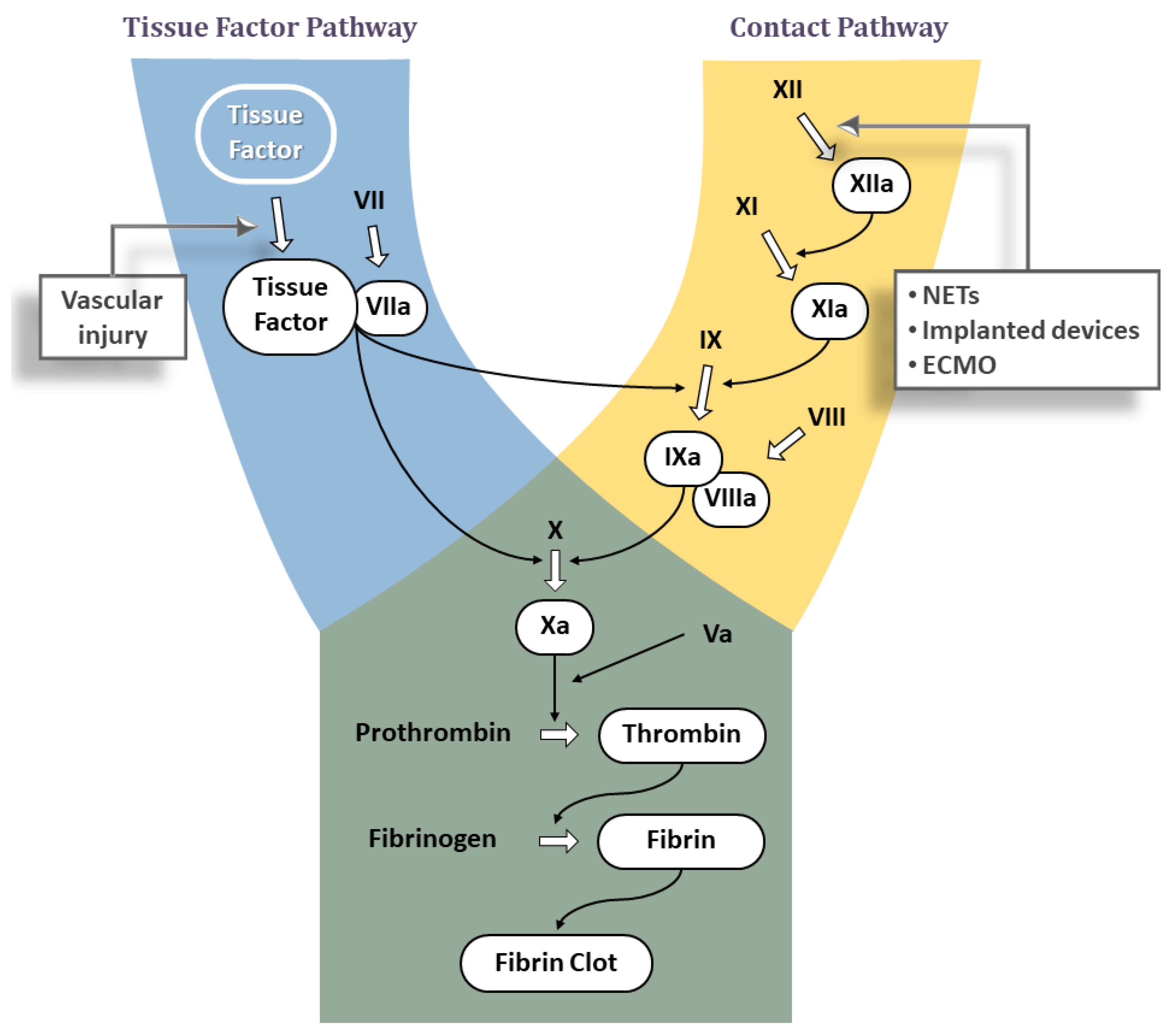 Product type and other environmental risk factors for inhibitor