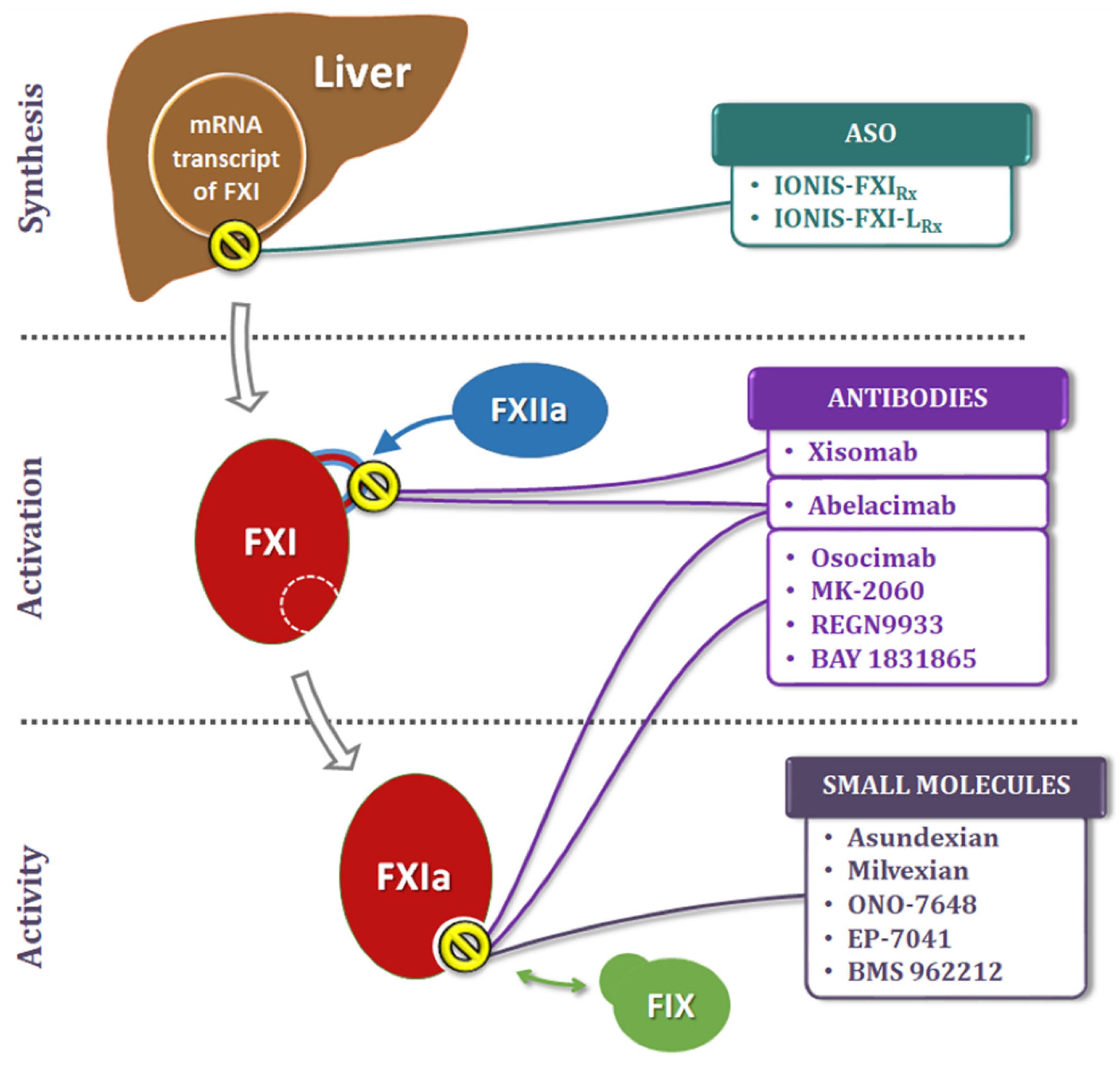 Jcdd 09 00437 g003 Jcdd 09 00437 g003
