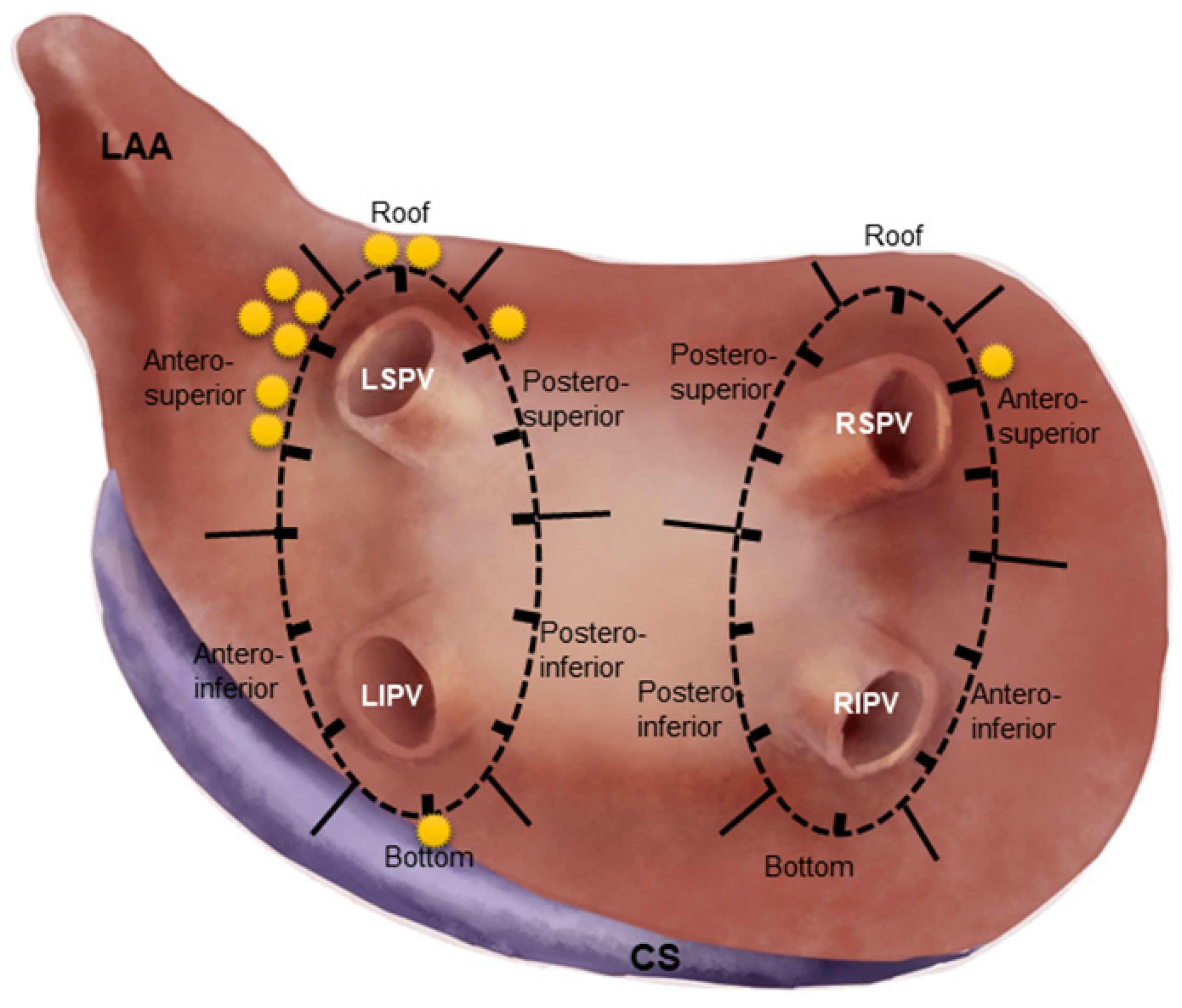 Jcdd 09 00441 g002 Jcdd 09 00441 g002