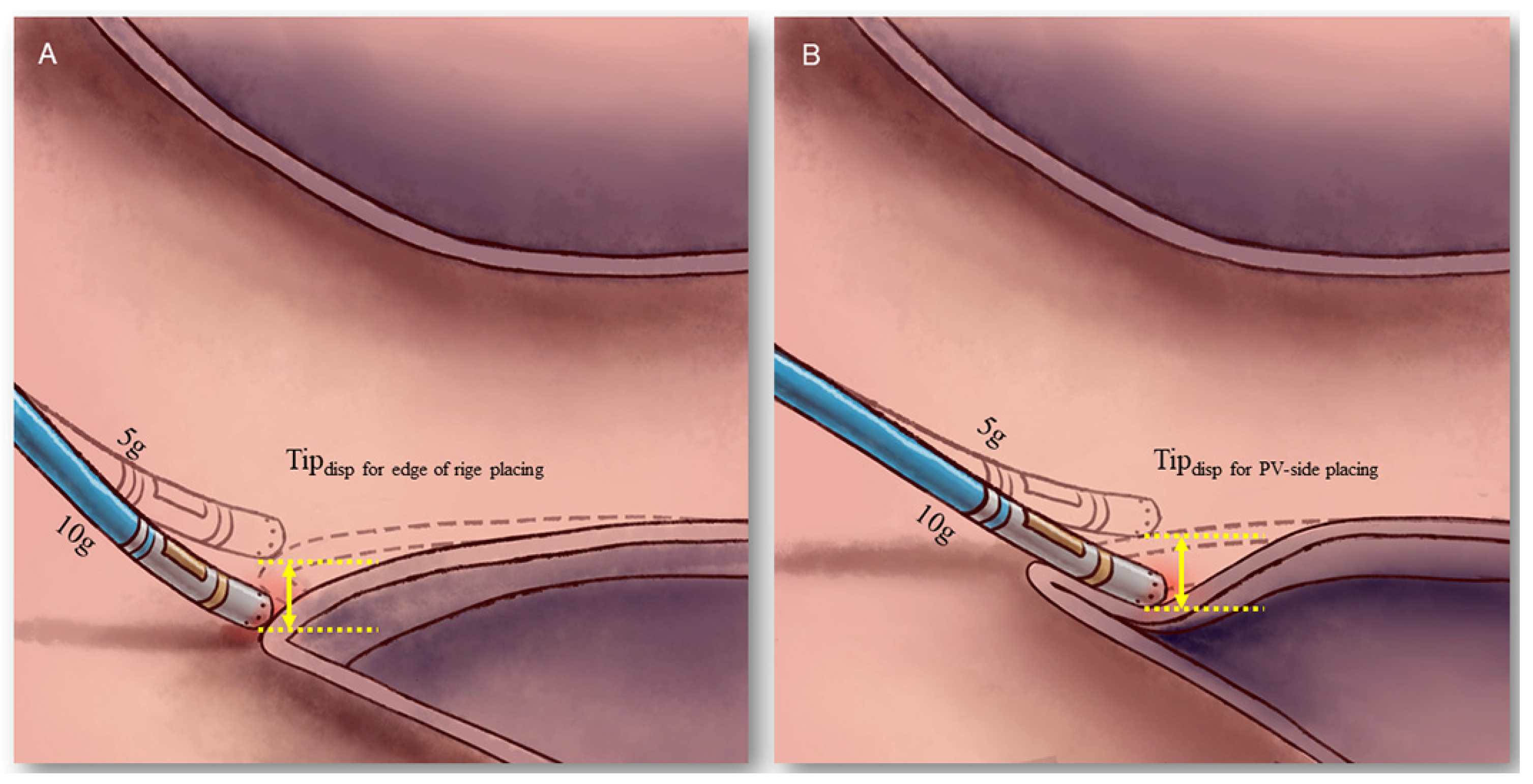 Jcdd 09 00441 g003 Jcdd 09 00441 g003