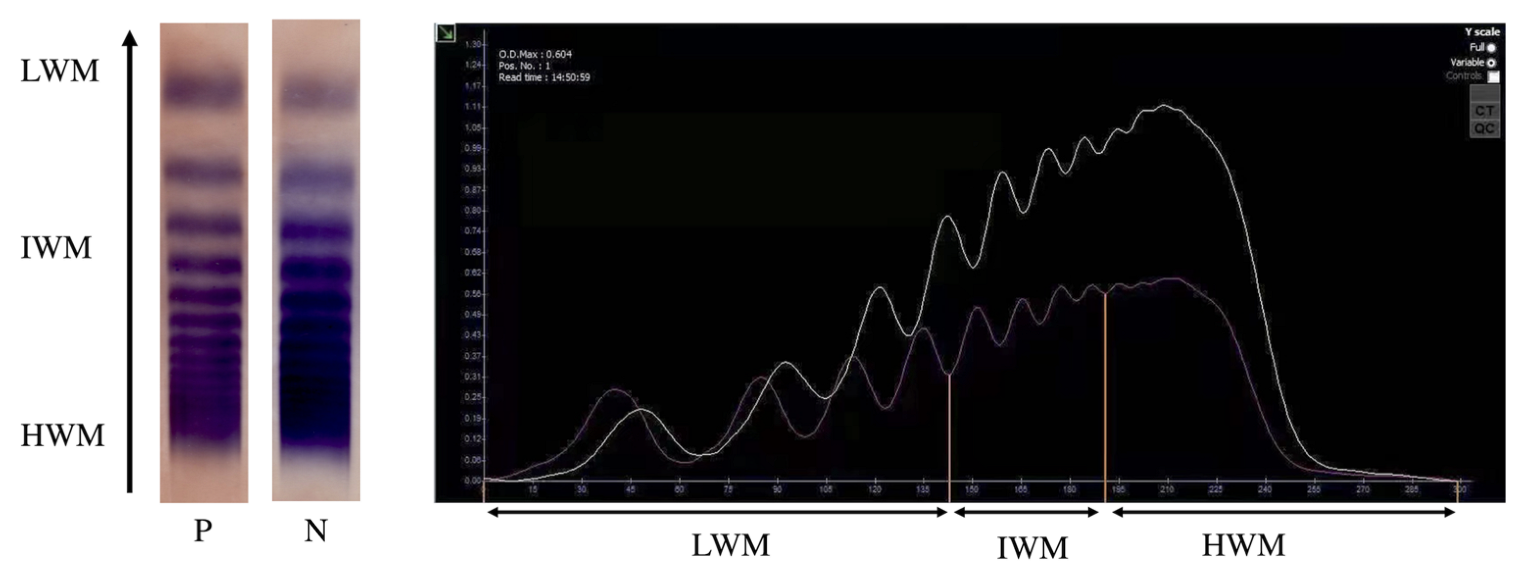 Jcdd 09 00454 g001 Jcdd 09 00454 g001