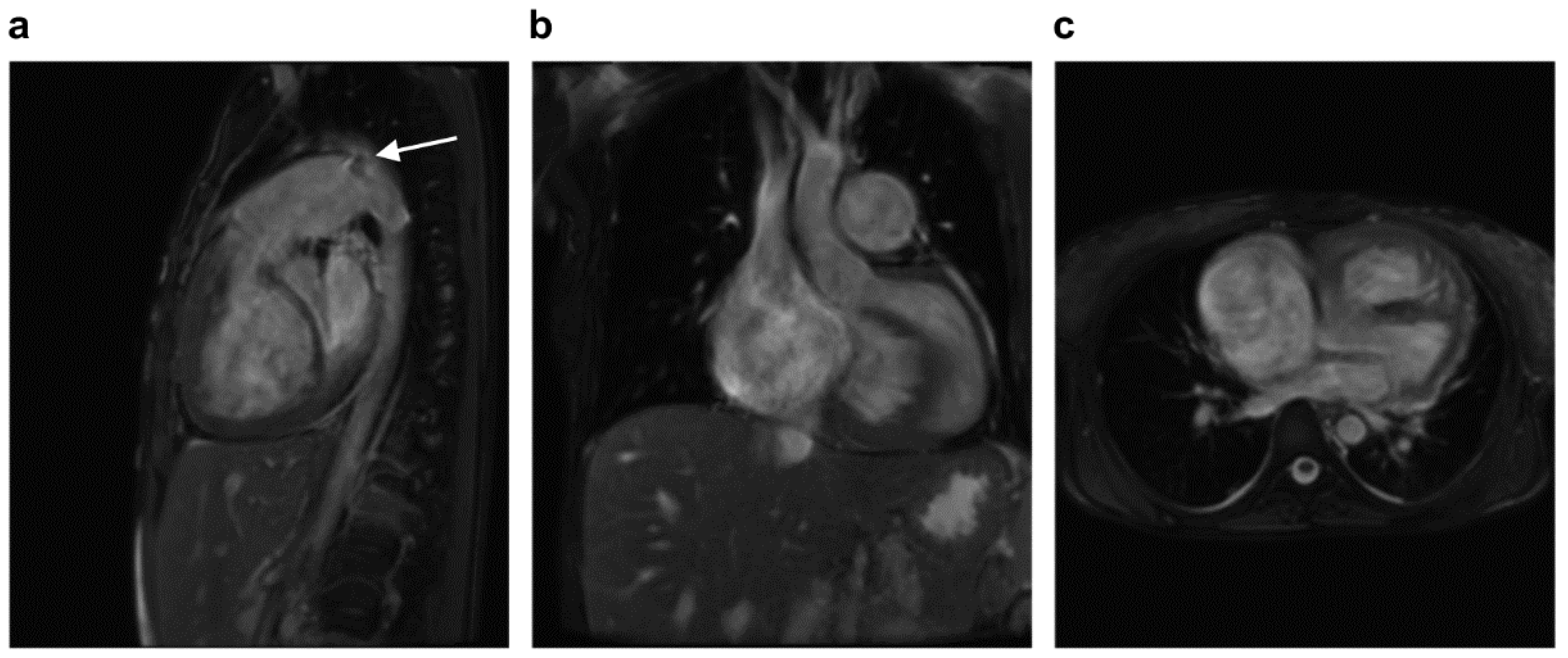 Jcdd 09 00457 g001 Jcdd 09 00457 g001