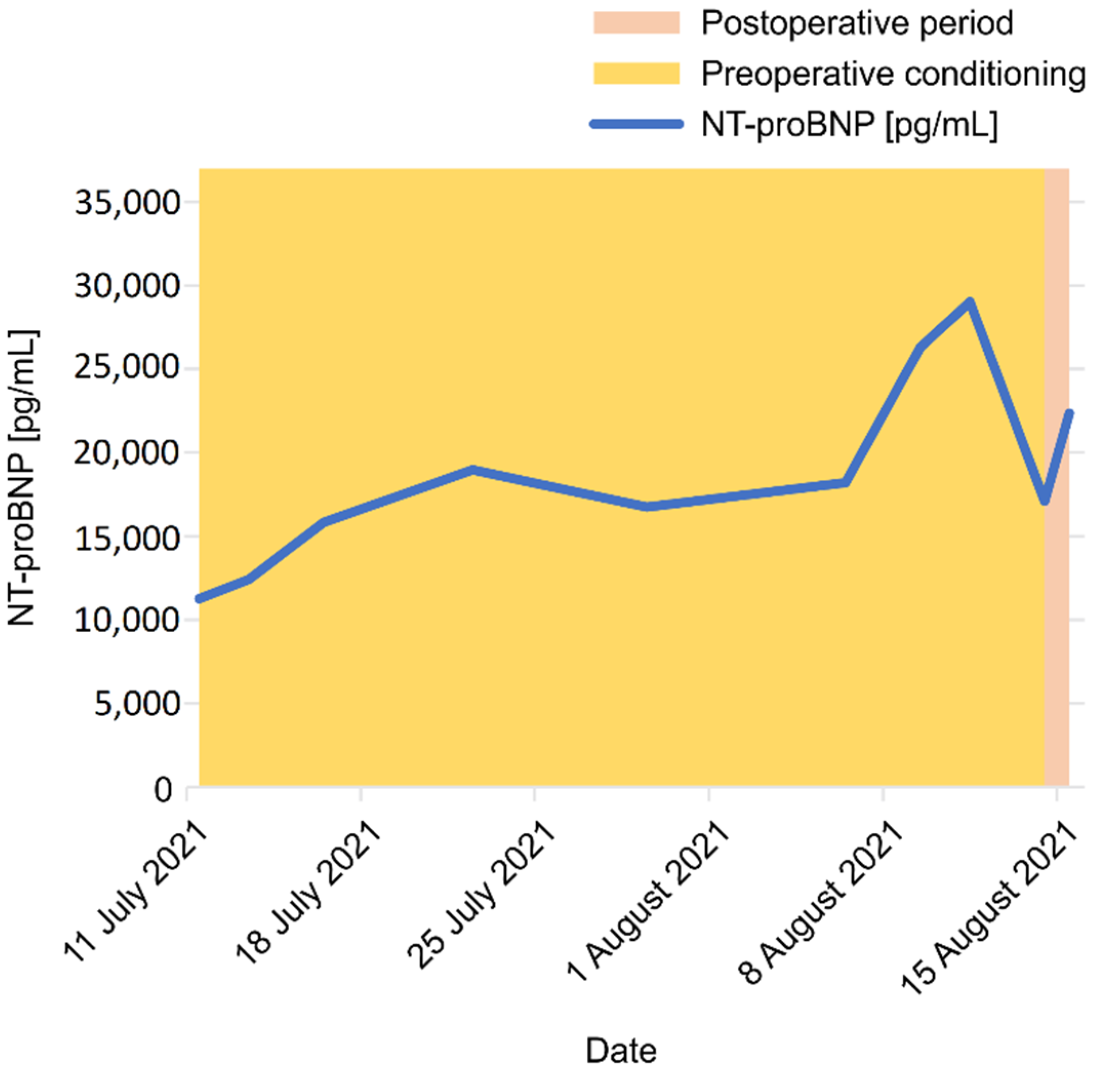 Jcdd 09 00457 g002 Jcdd 09 00457 g002