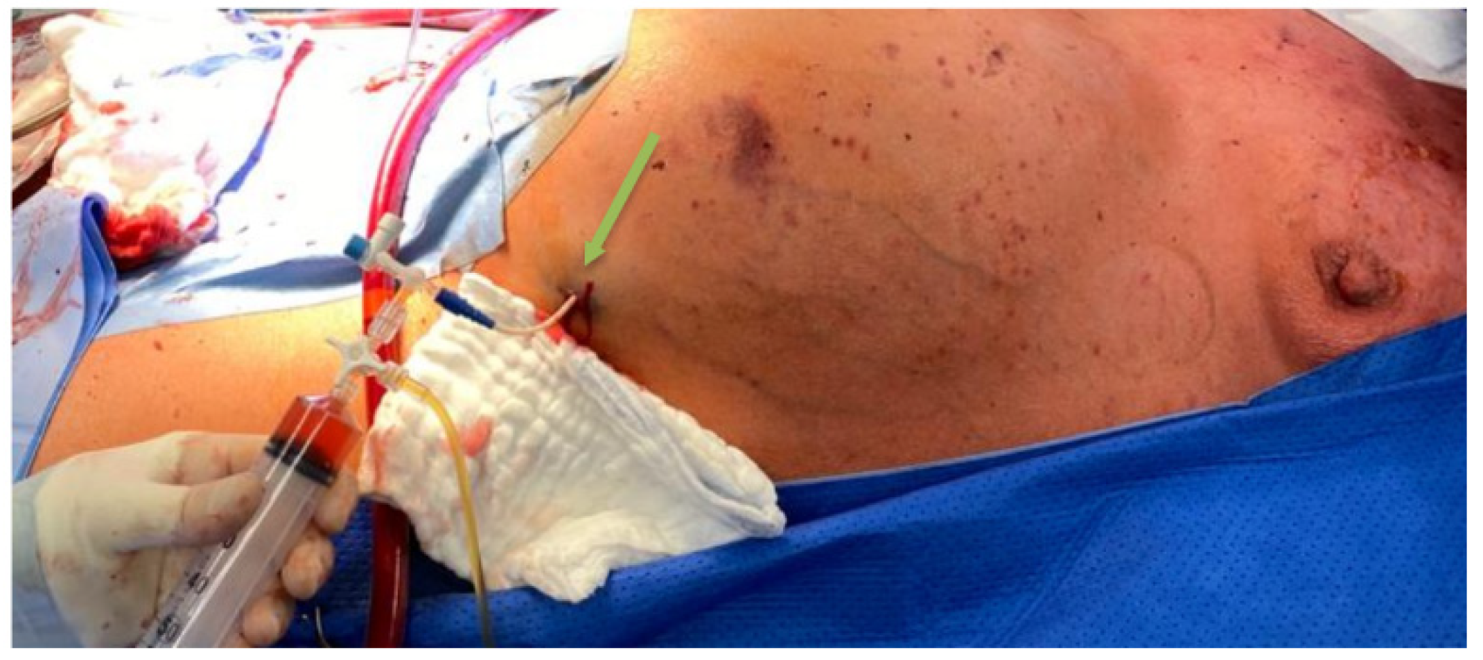 Jcdd 09 00457 g008 Jcdd 09 00457 g008