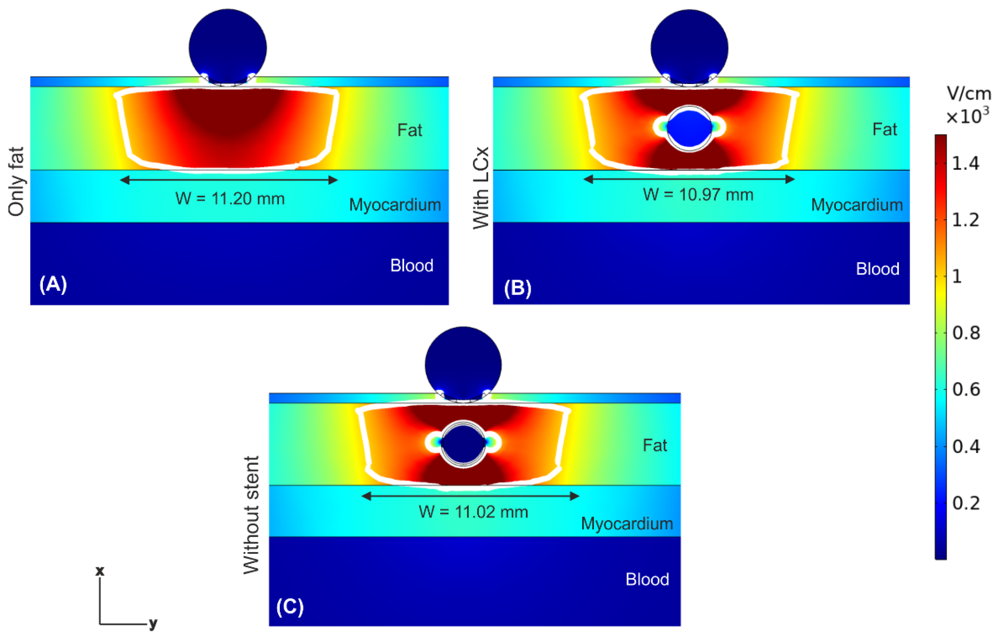 Jcdd 09 00458 g004 Jcdd 09 00458 g004