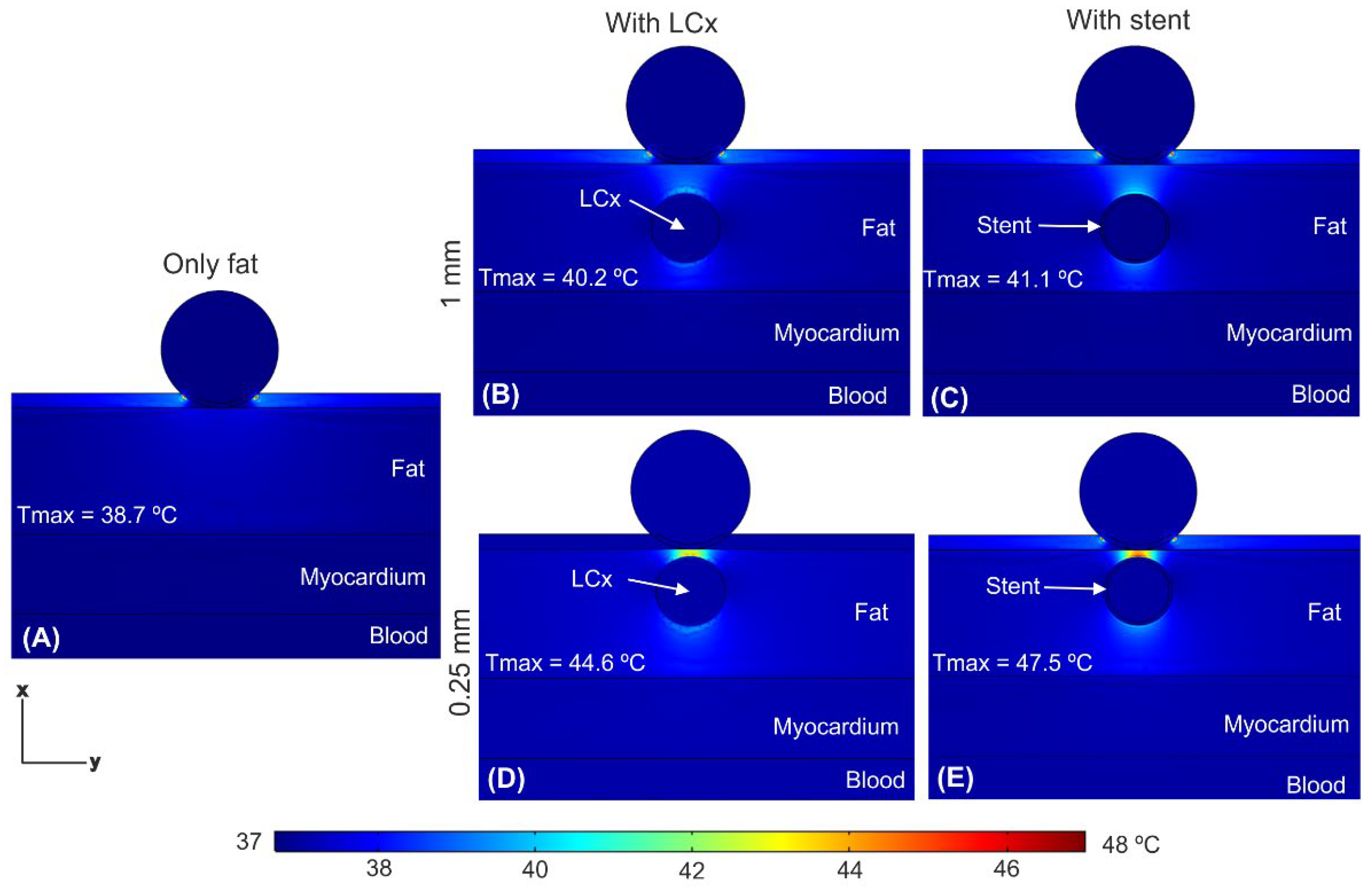 Jcdd 09 00458 g007 Jcdd 09 00458 g007
