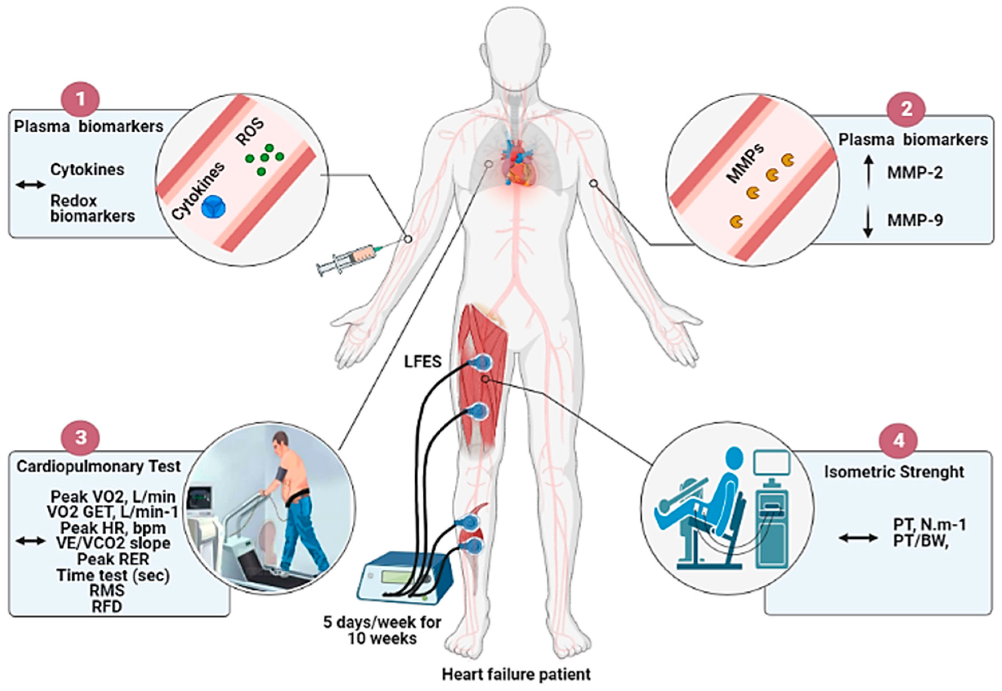 Jcdd 09 00463 g003 Jcdd 09 00463 g003