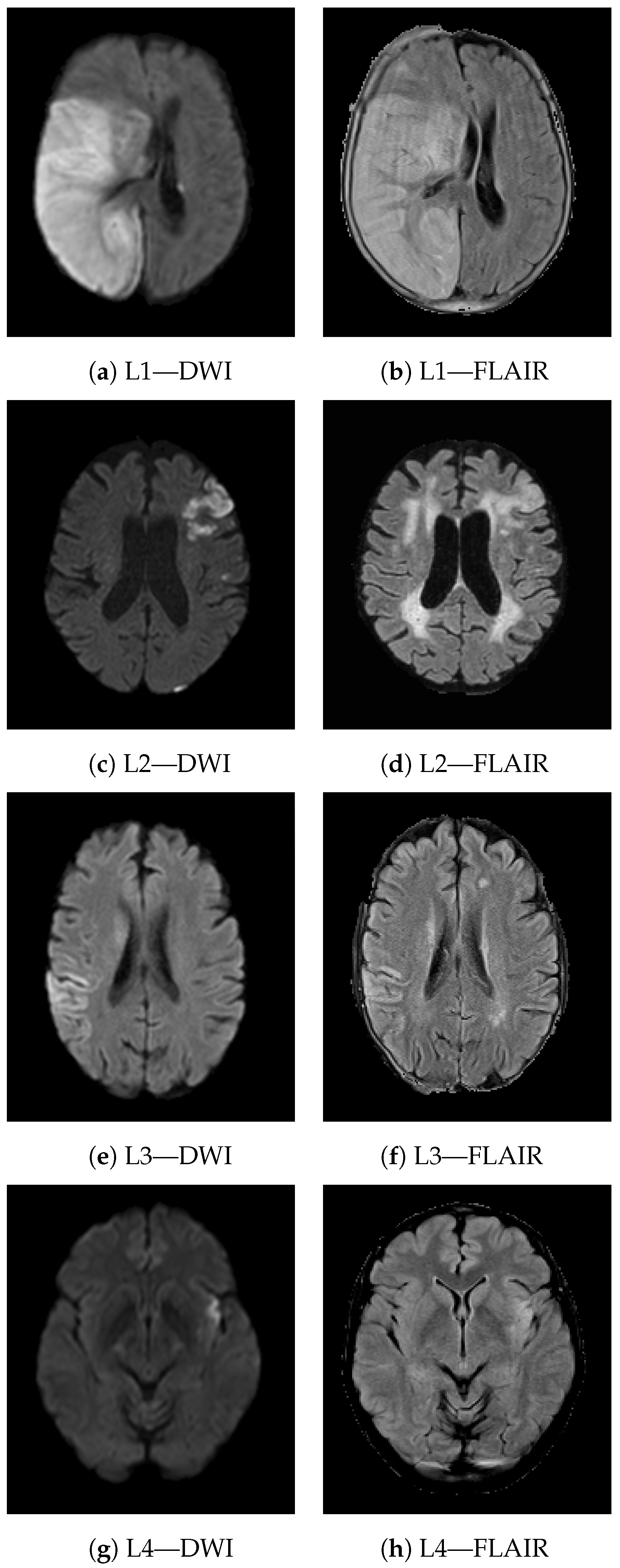 Jcdd 09 00468 g008 Jcdd 09 00468 g008