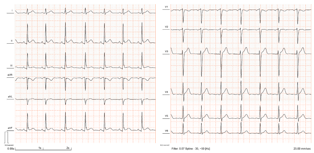 Jcdd 10 00004 g002 Jcdd 10 00004 g002