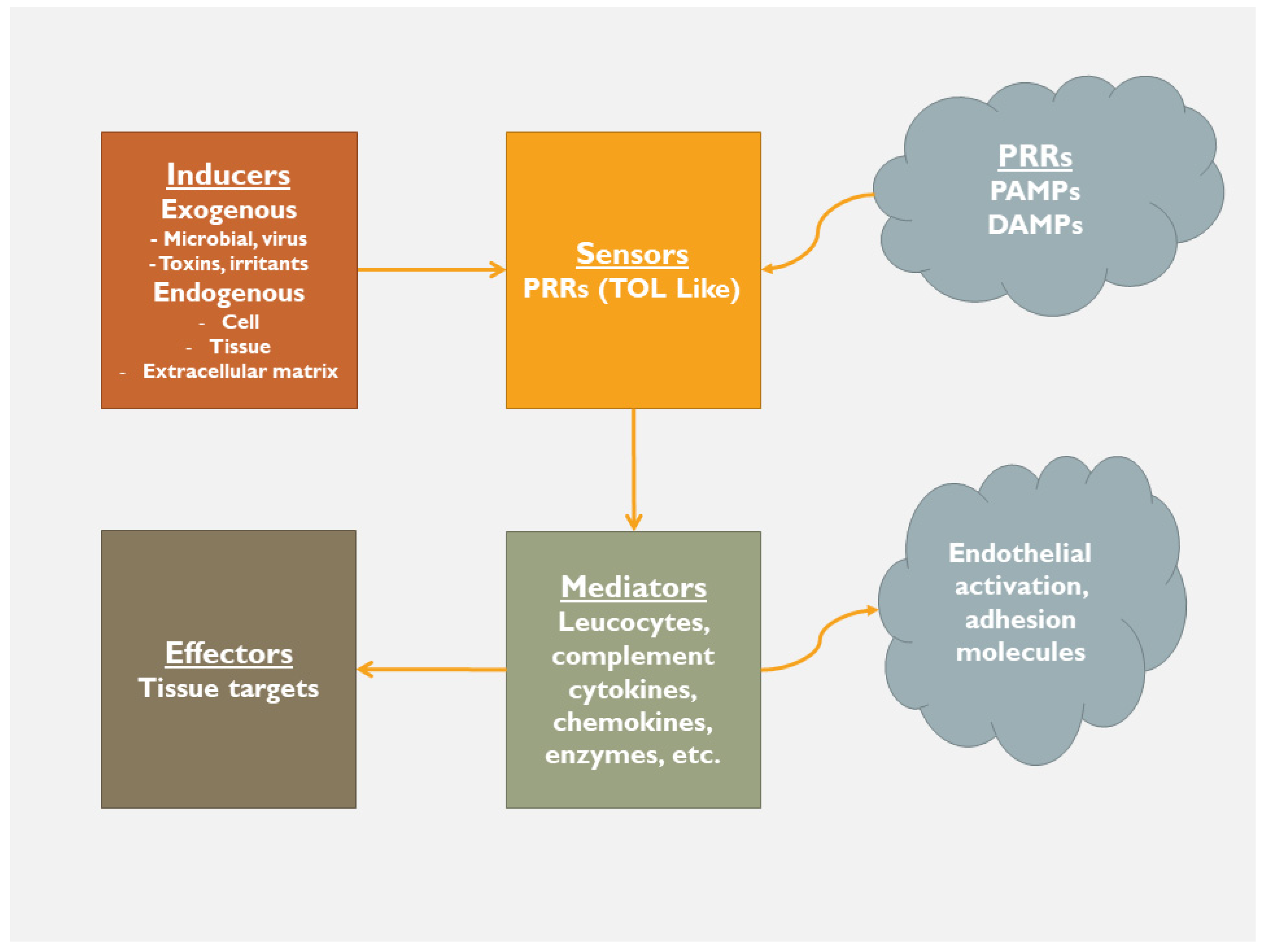 Jcdd 10 00019 g002 Jcdd 10 00019 g002