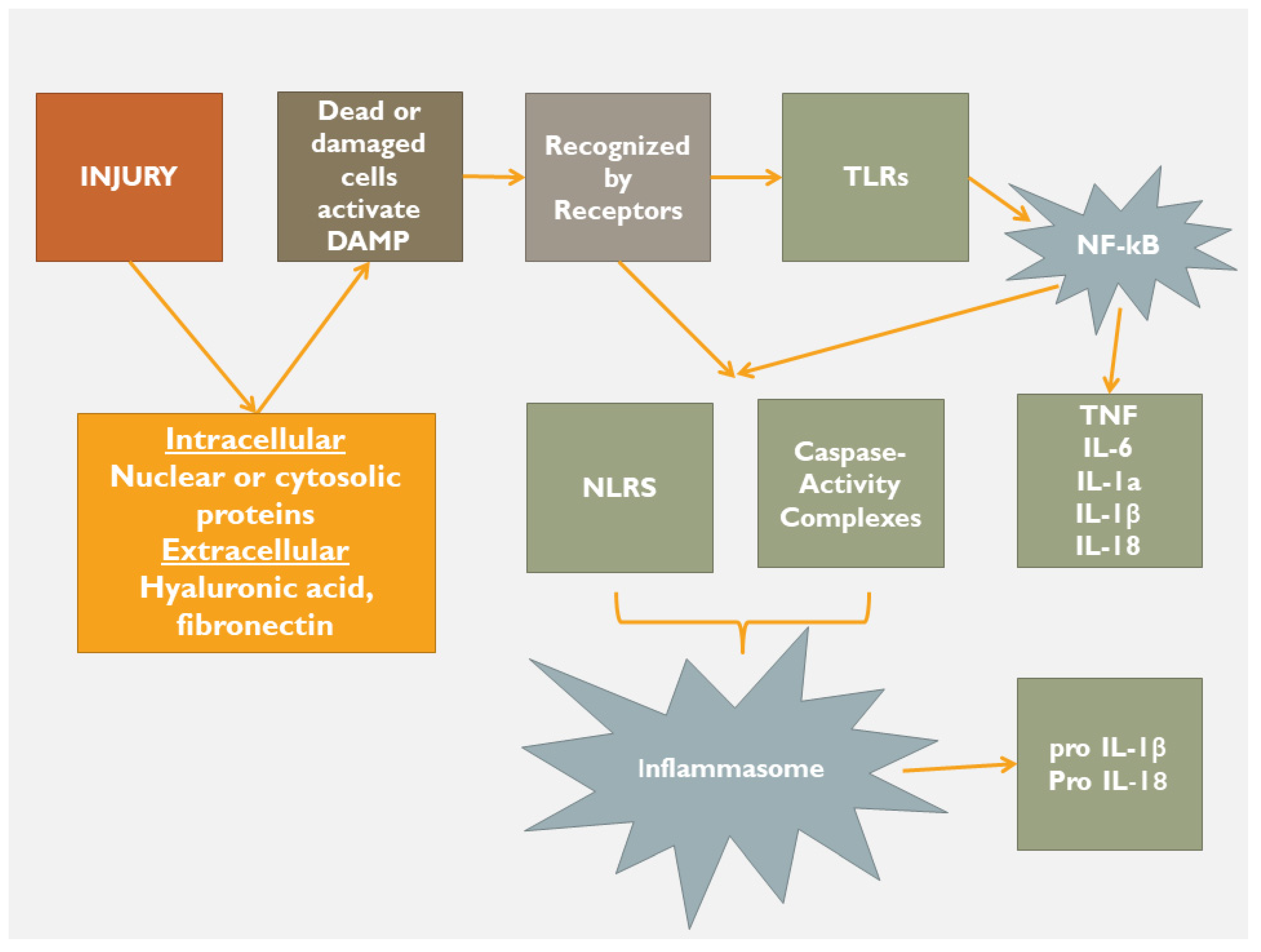 Jcdd 10 00019 g003 Jcdd 10 00019 g003