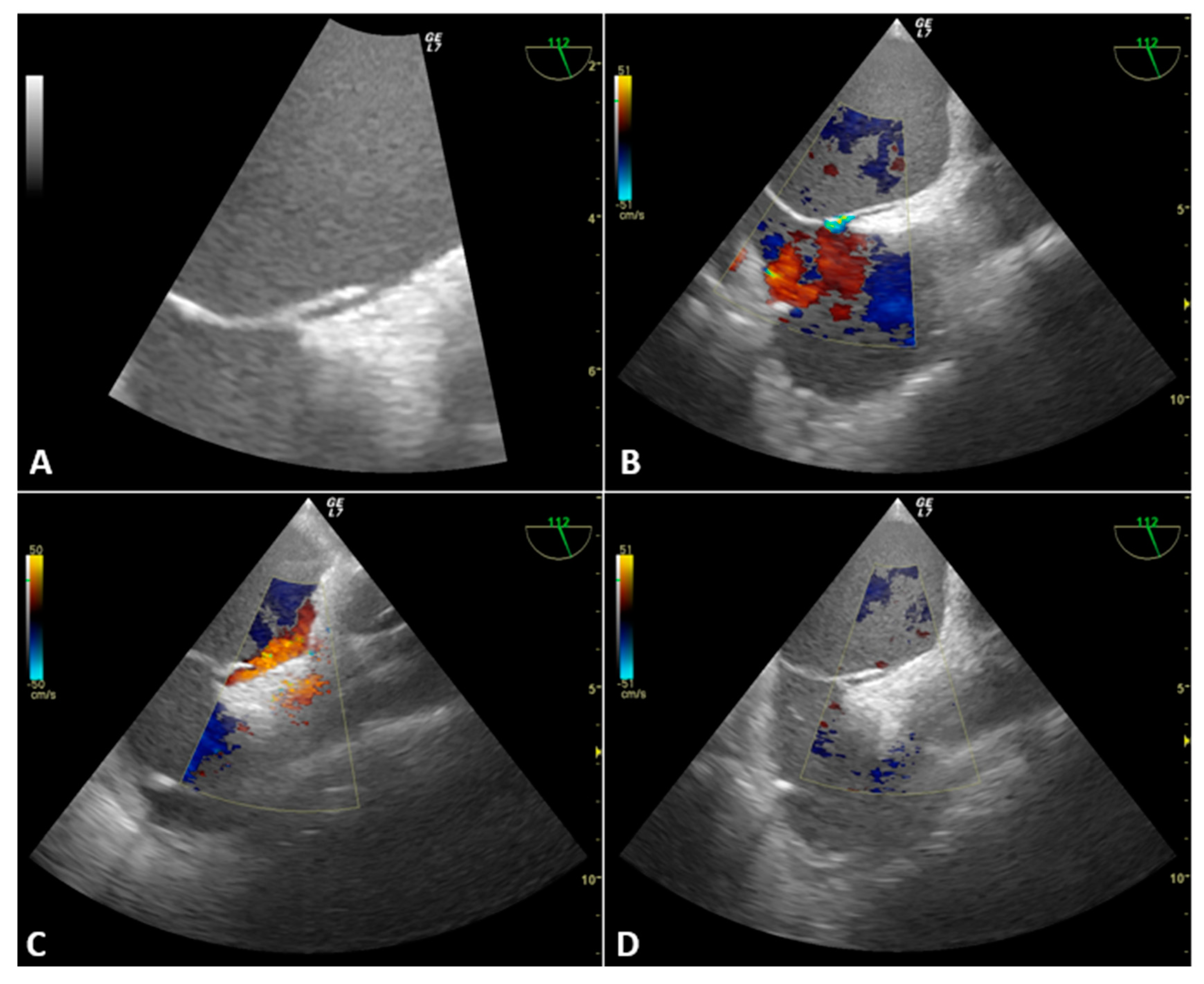 Jcdd 10 00032 g002 Jcdd 10 00032 g002