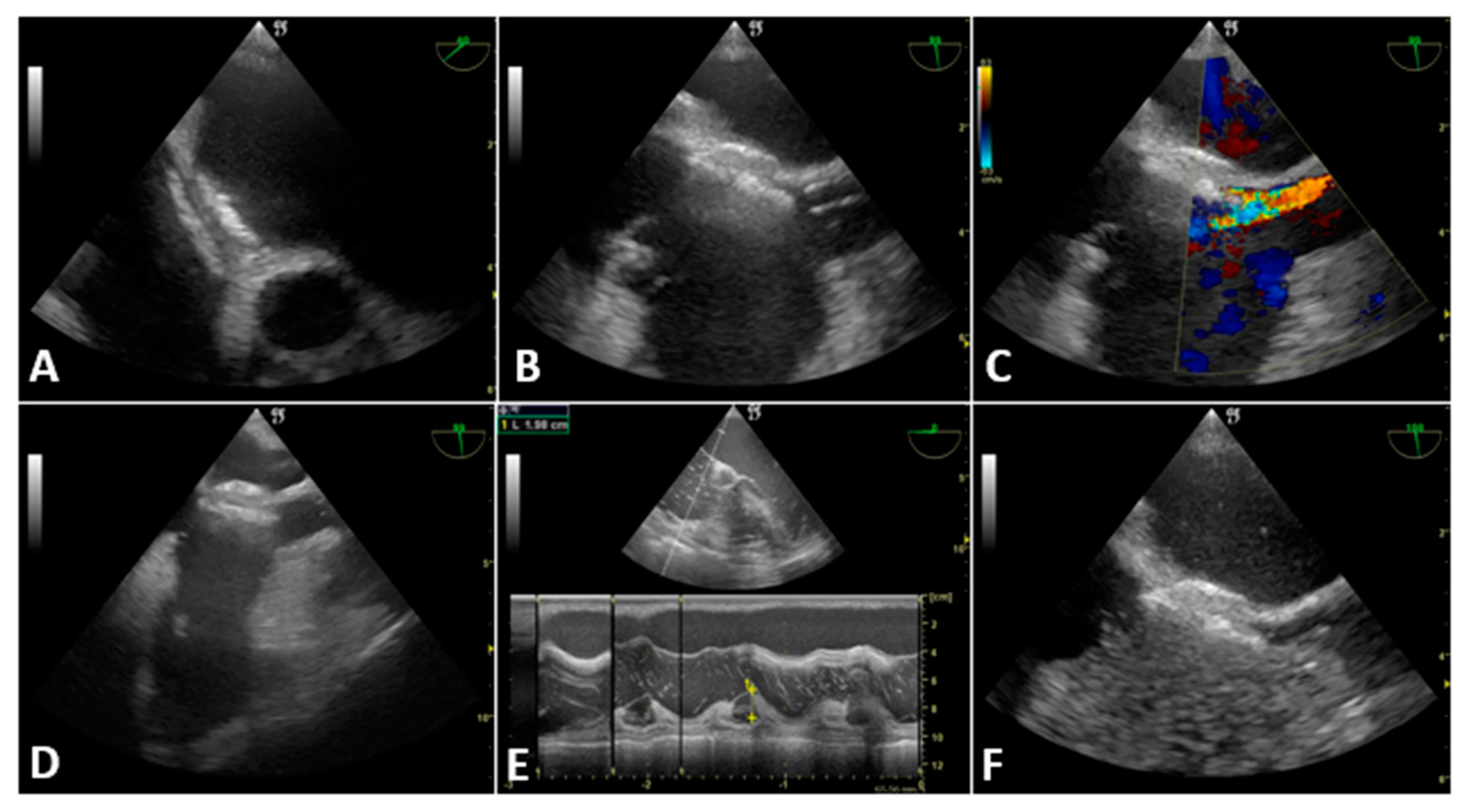 Jcdd 10 00032 g003 Jcdd 10 00032 g003