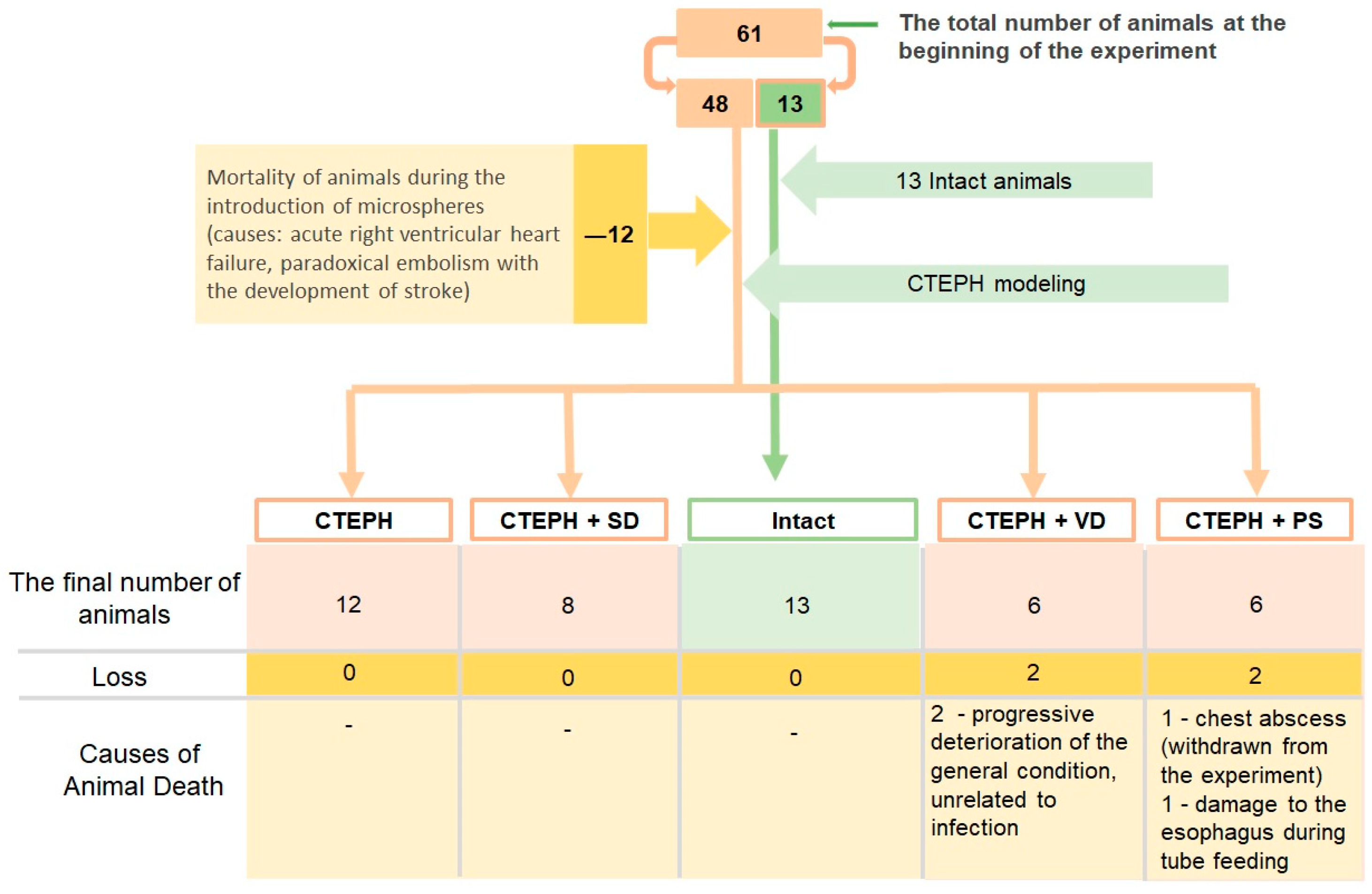 Jcdd 10 00040 g002 Jcdd 10 00040 g002