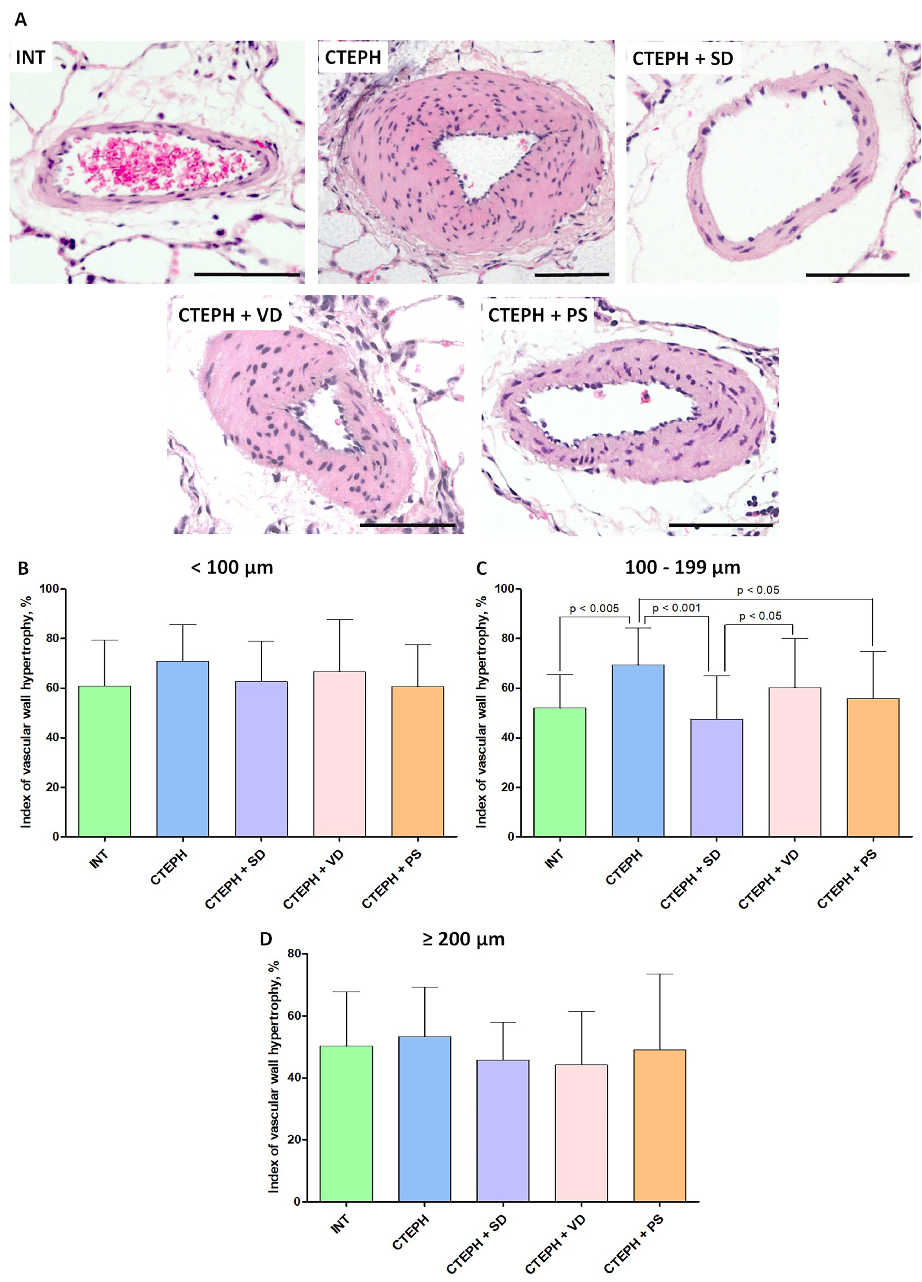 Jcdd 10 00040 g004 Jcdd 10 00040 g004