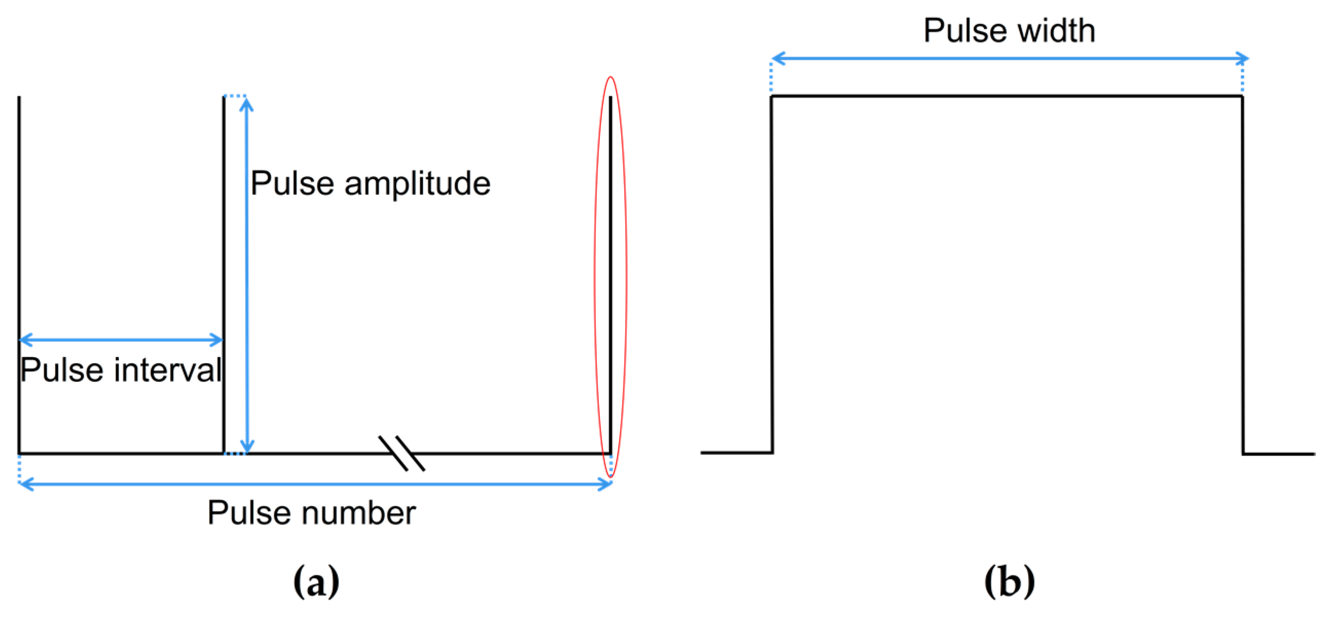 Jcdd 10 00056 g004 Jcdd 10 00056 g004