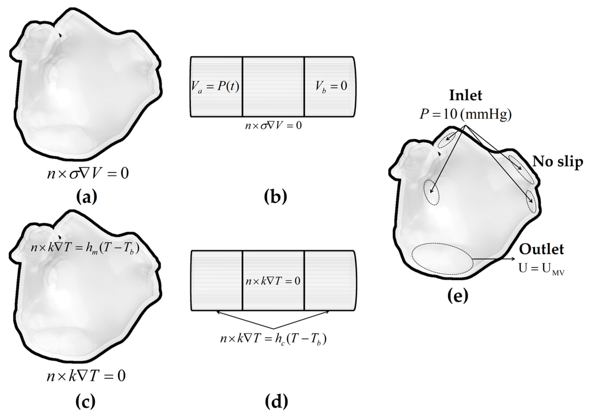 Jcdd 10 00056 g005 Jcdd 10 00056 g005