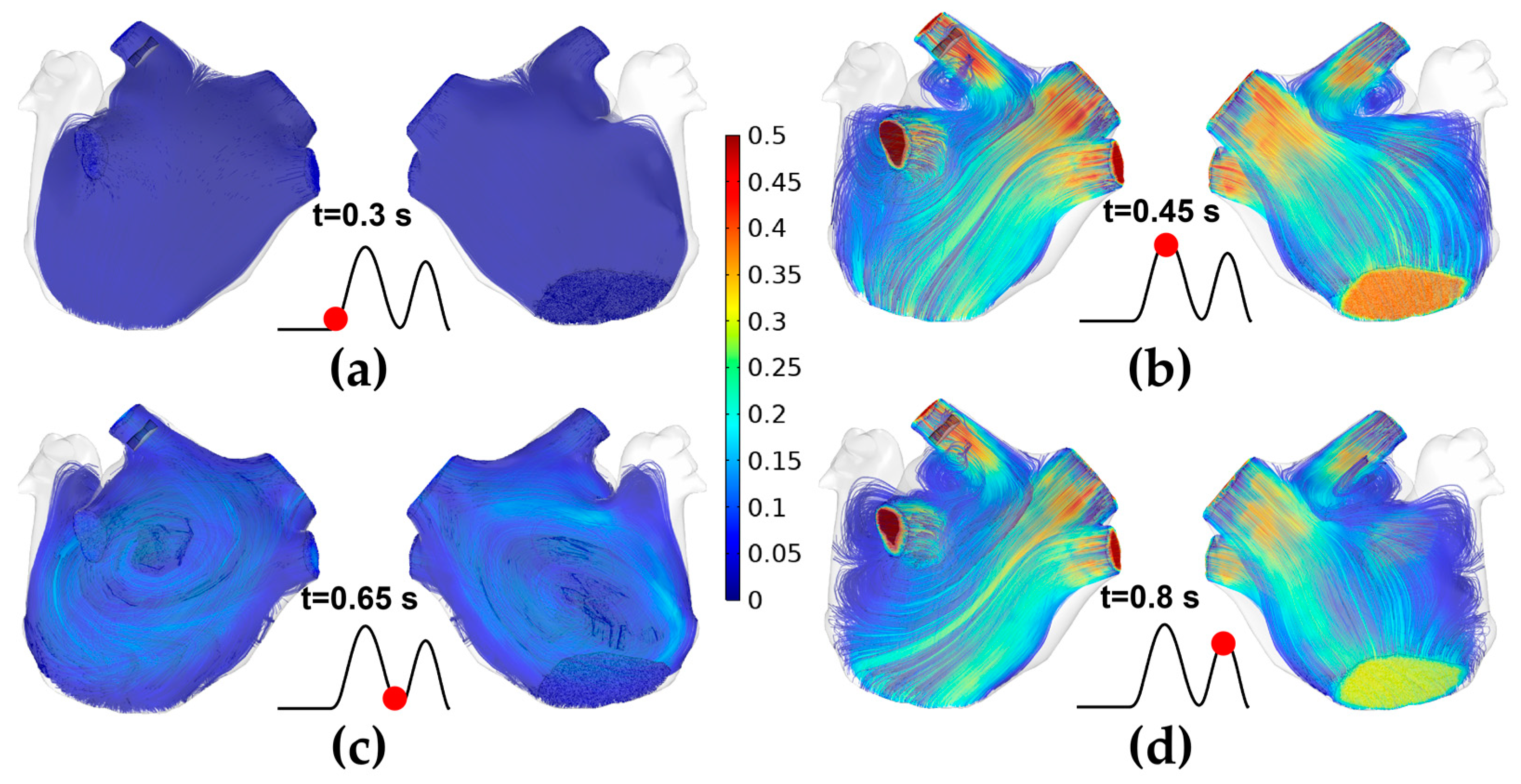 Jcdd 10 00056 g006 Jcdd 10 00056 g006